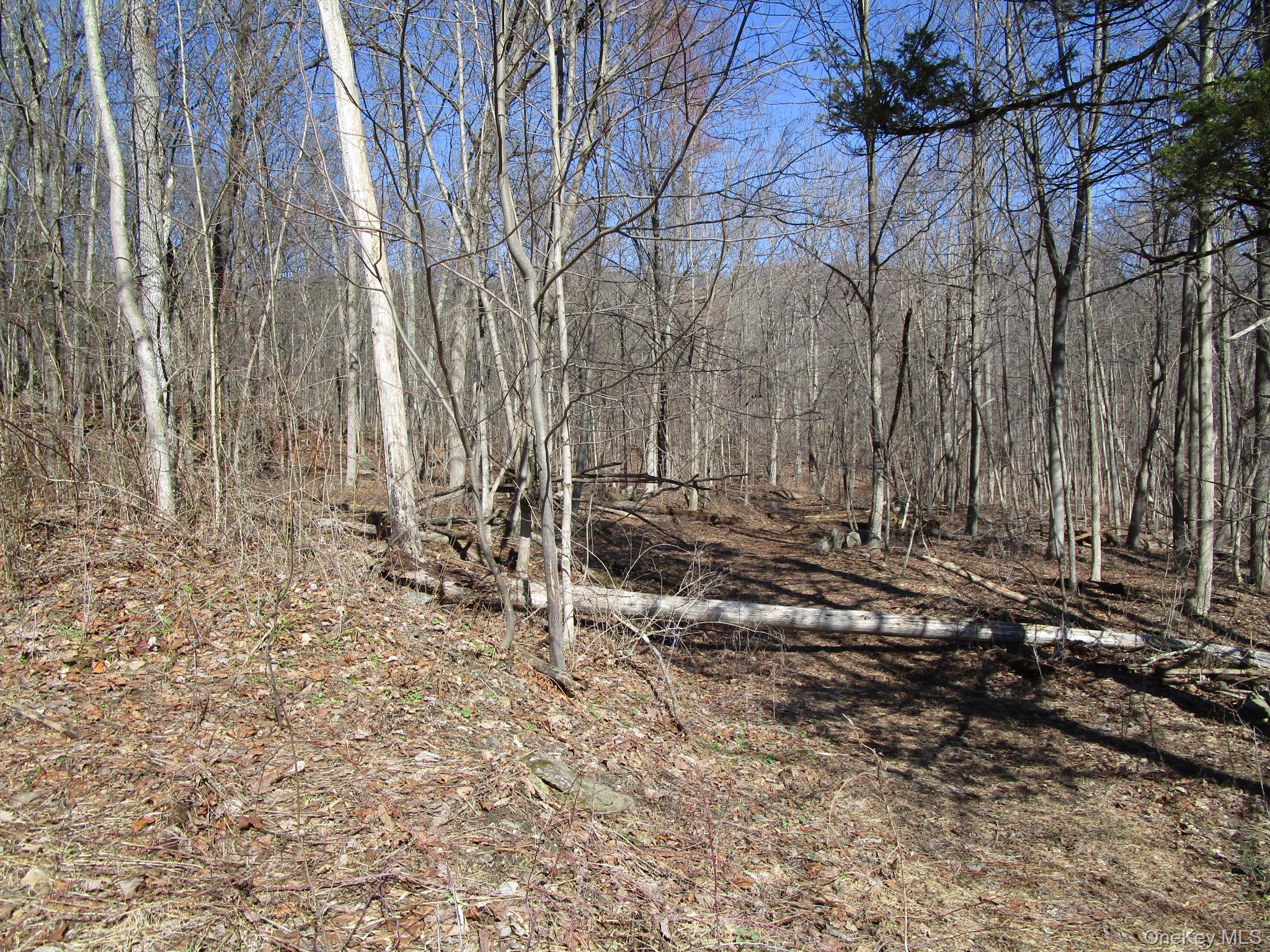 Co Rt 12, New Hampton, NY 10958