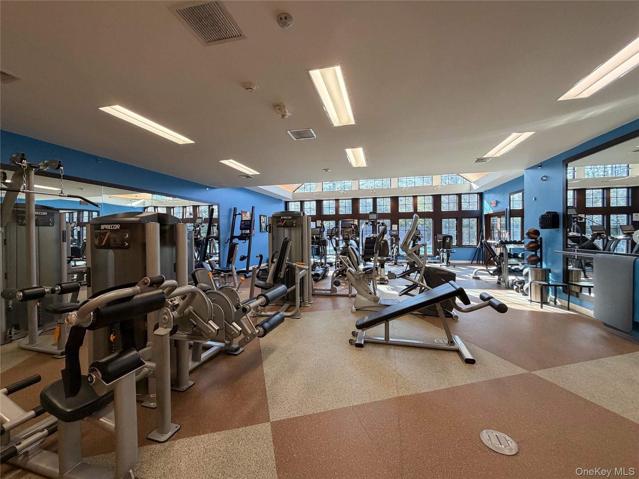 285 Carriage House Drive, Jericho, NY 11753