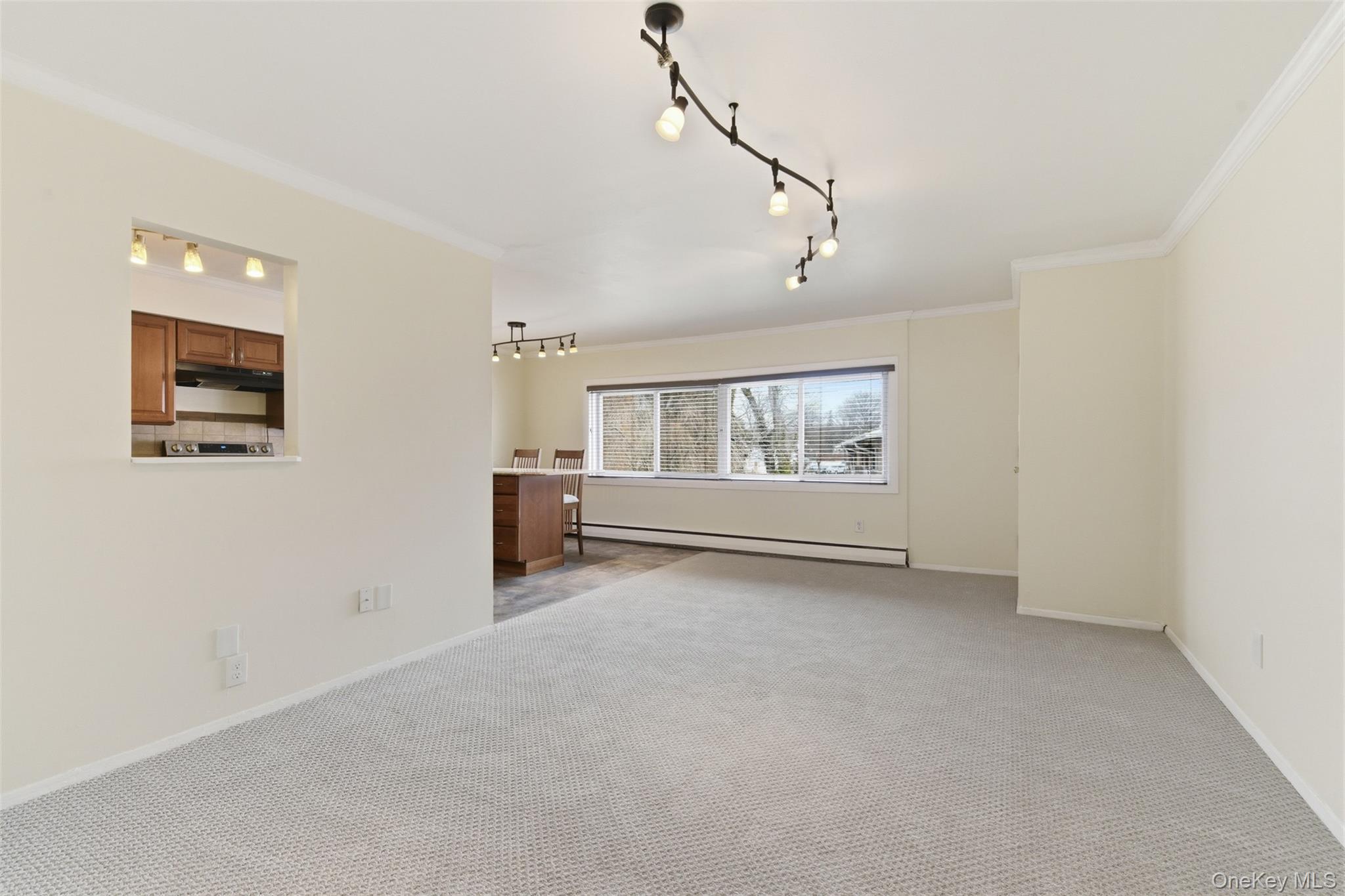 400 Fulton Street # 3B, Farmingdale, NY 11735