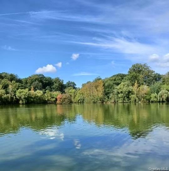 4618 161st Street # C4, Flushing, NY 11358