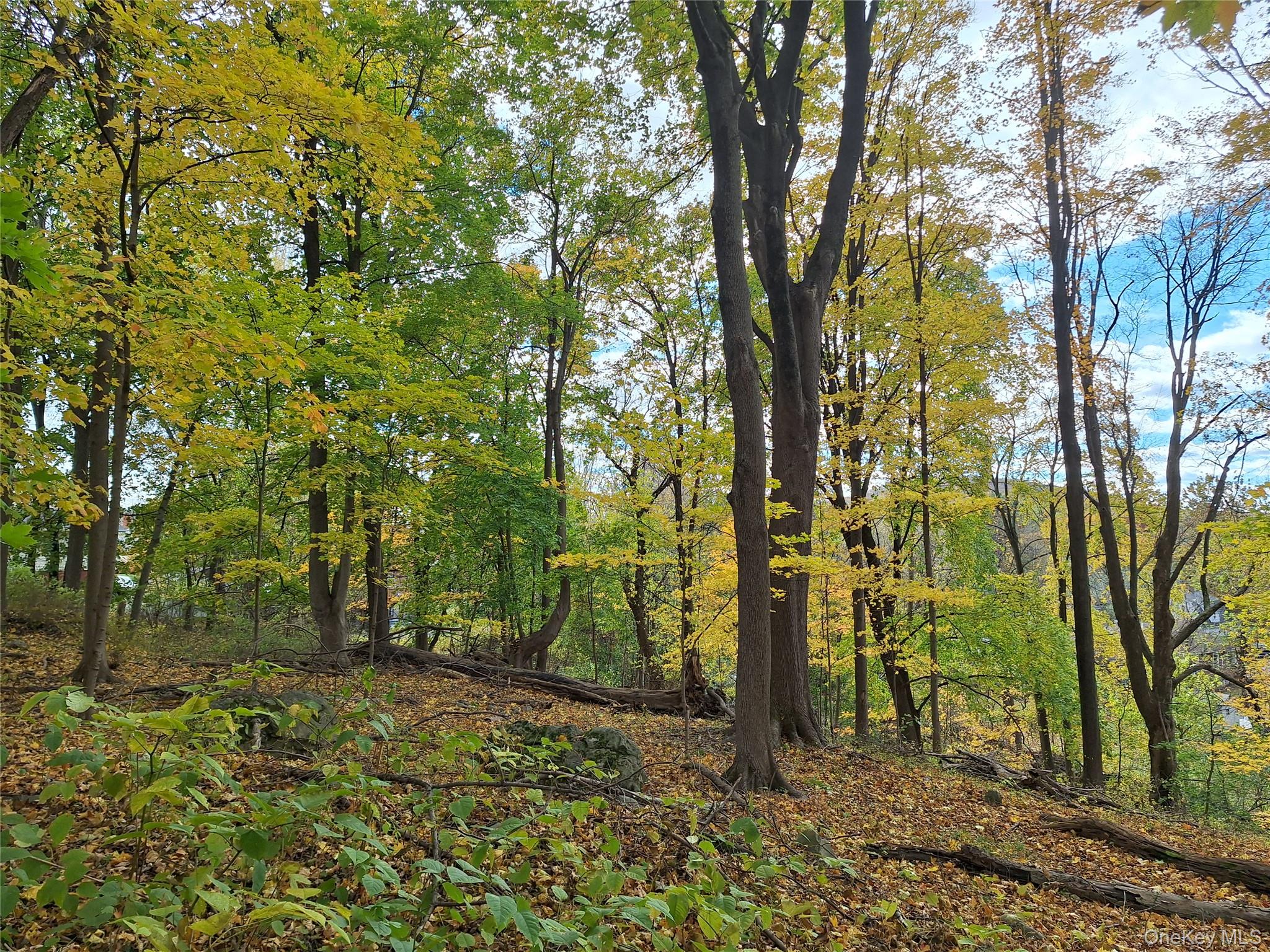 1 wright Street, Newburgh, NY 12550