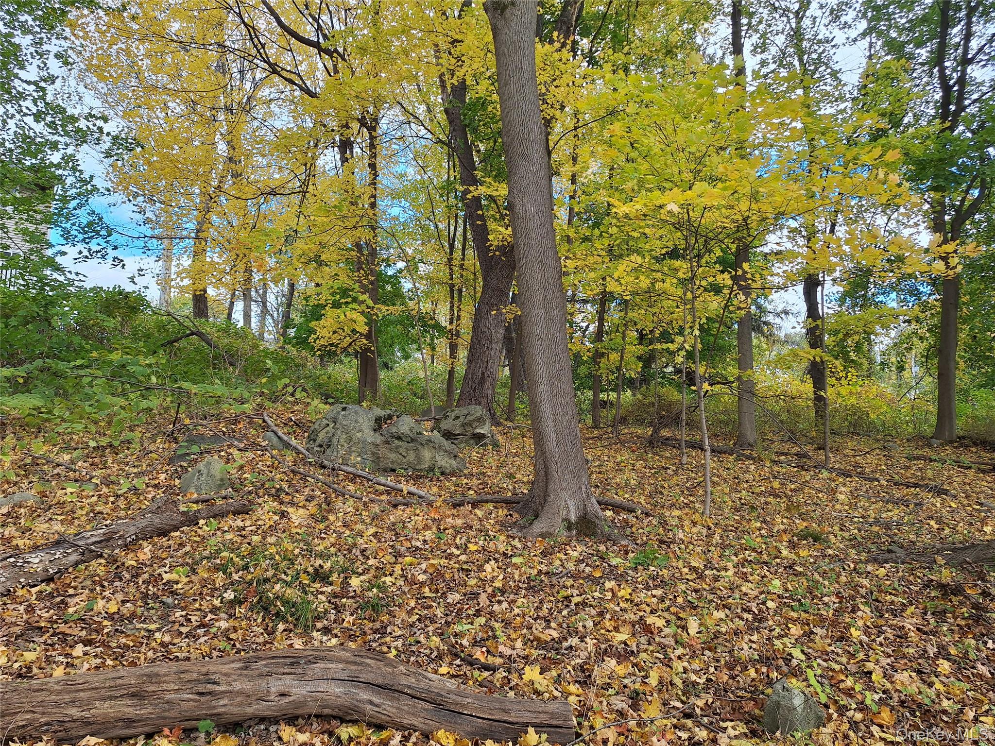 1 wright Street, Newburgh, NY 12550