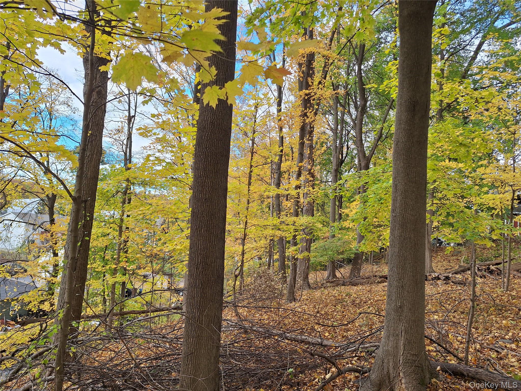 1 wright Street, Newburgh, NY 12550