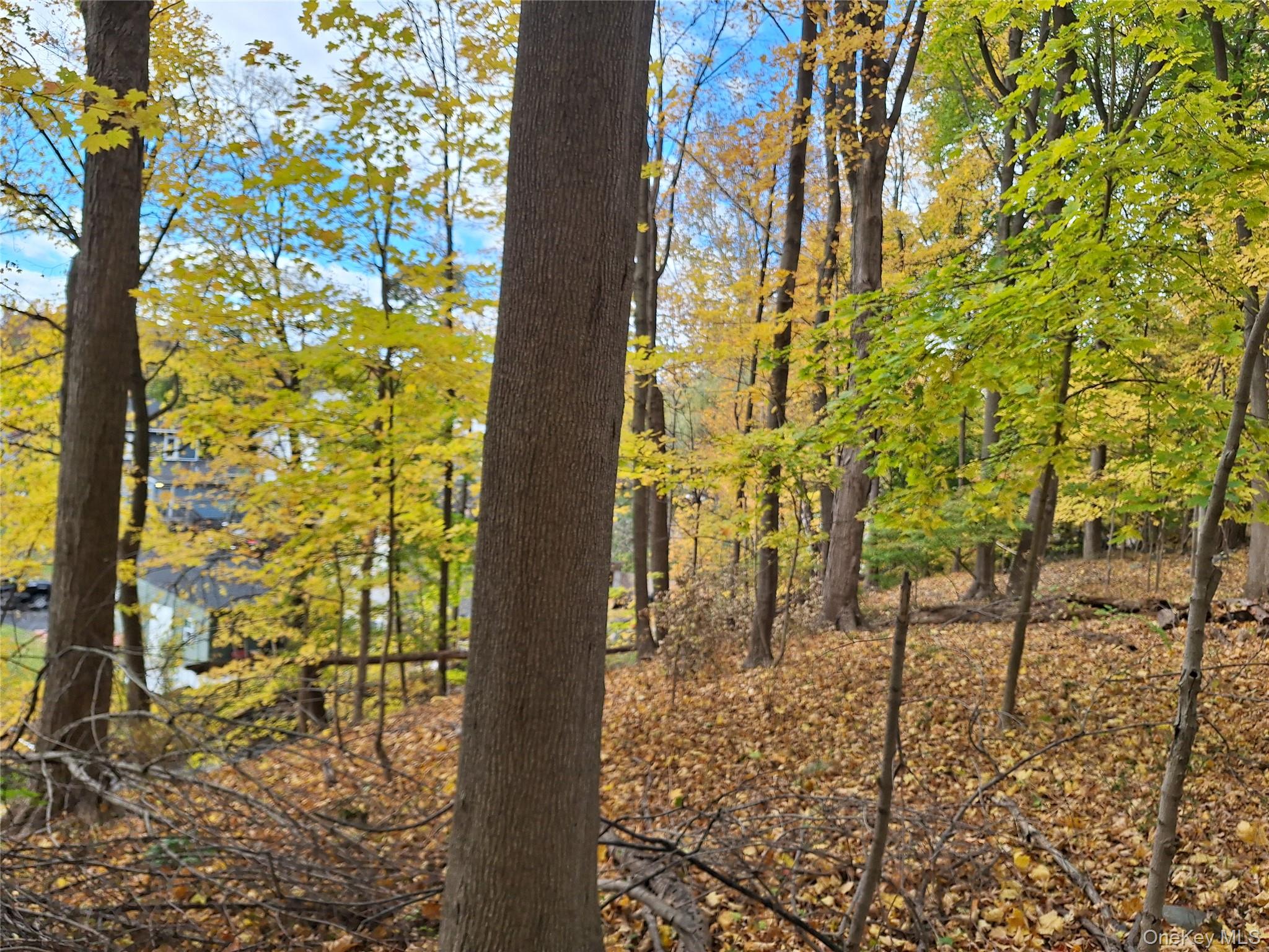 1 wright Street, Newburgh, NY 12550