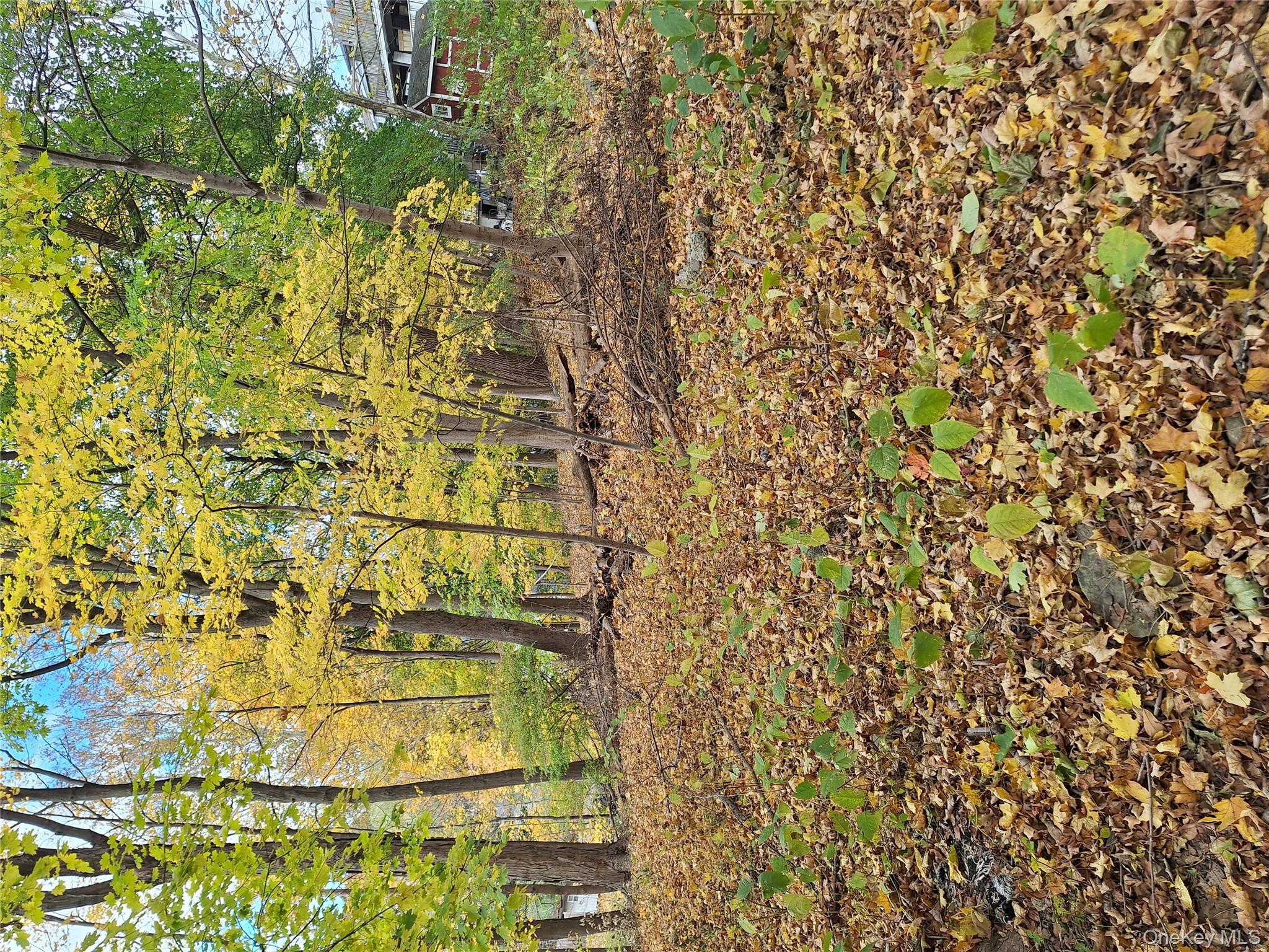 1 wright Street, Newburgh, NY 12550