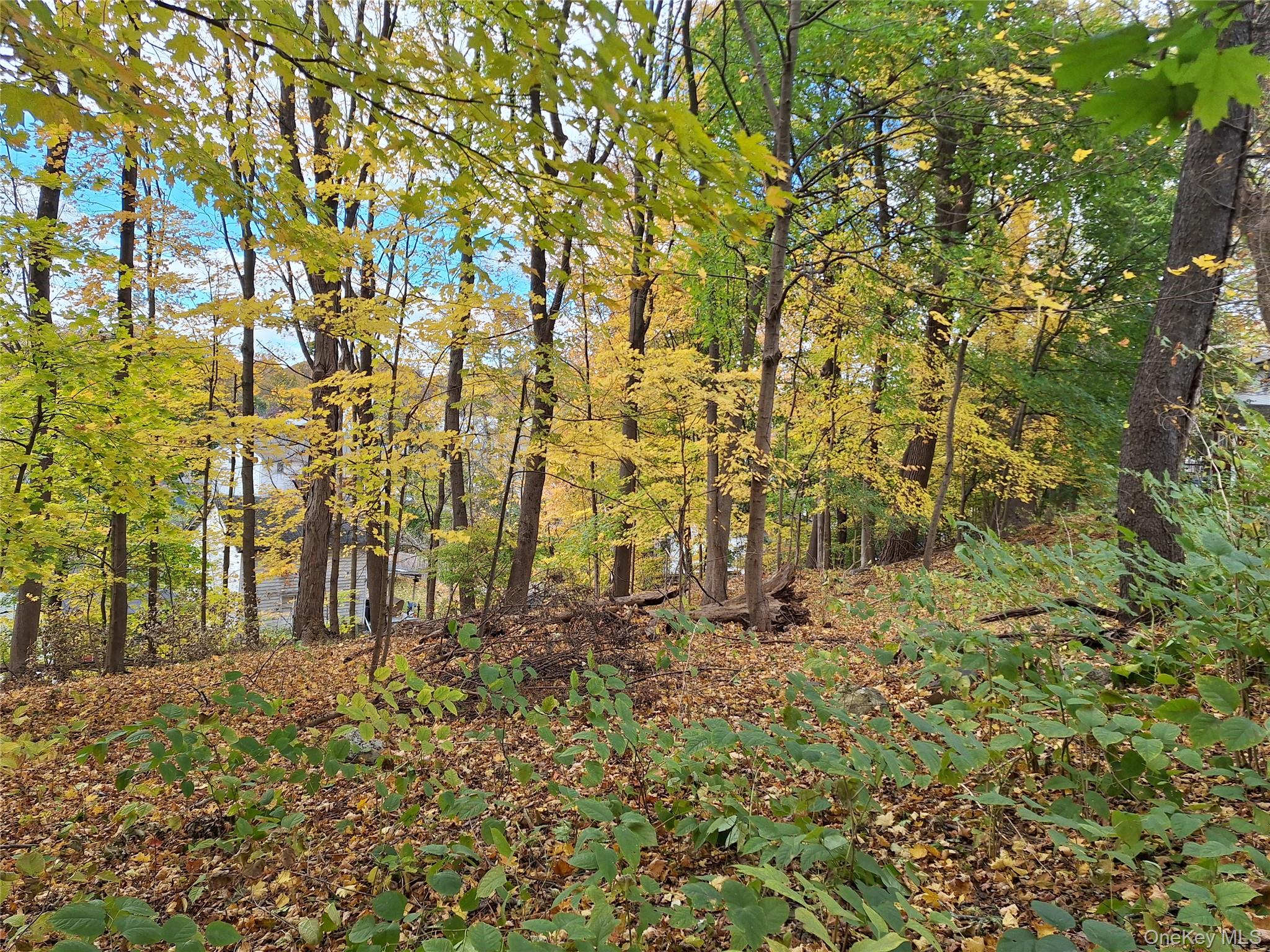 2 wright Street, Newburgh, NY 12550