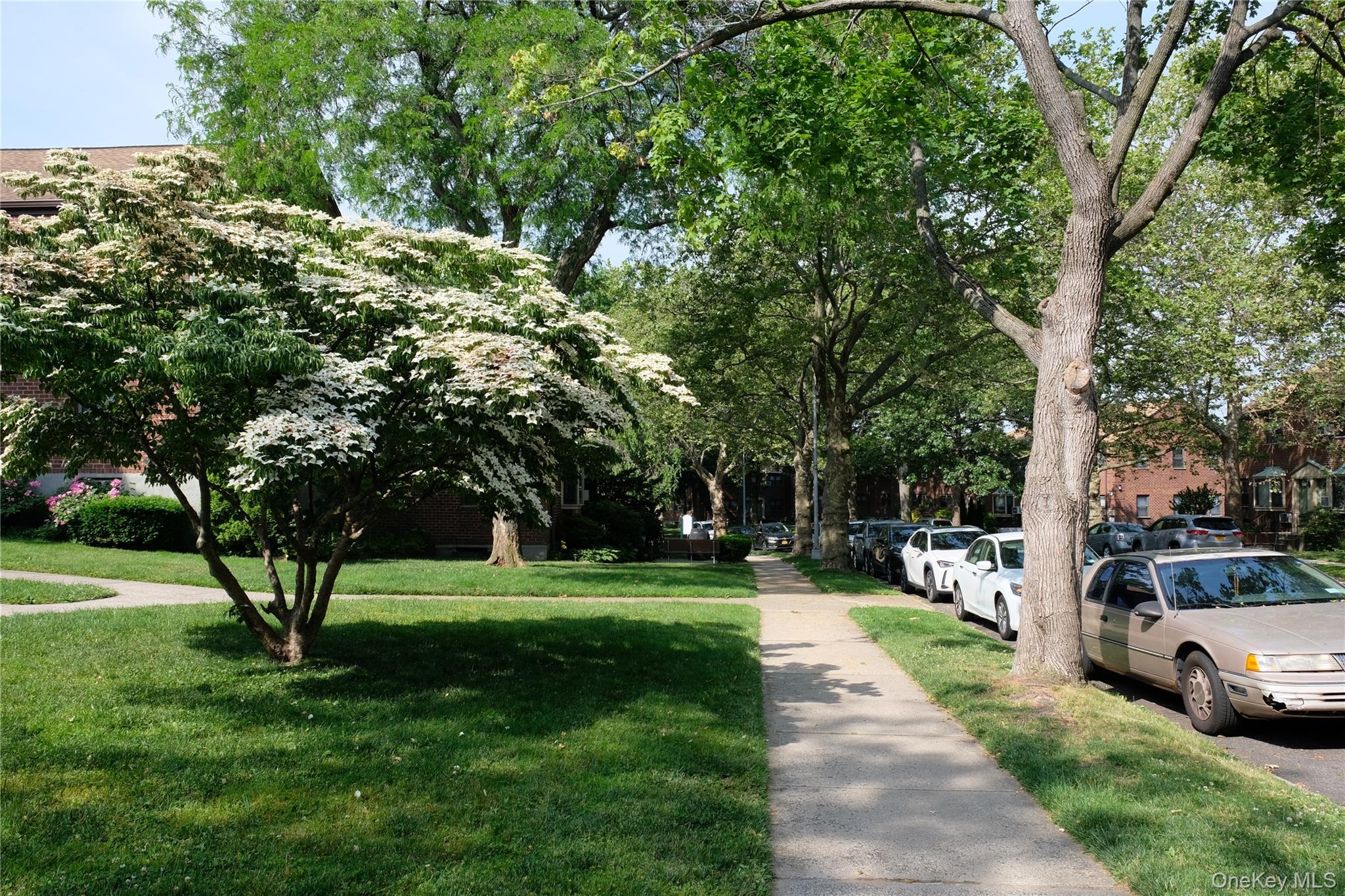 57-41 246TH Crescent # Lower, Douglaston, NY 11362