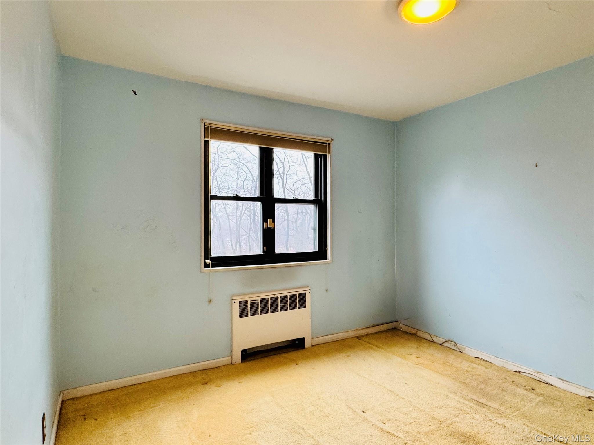 57-41 246TH Crescent # Lower, Douglaston, NY 11362