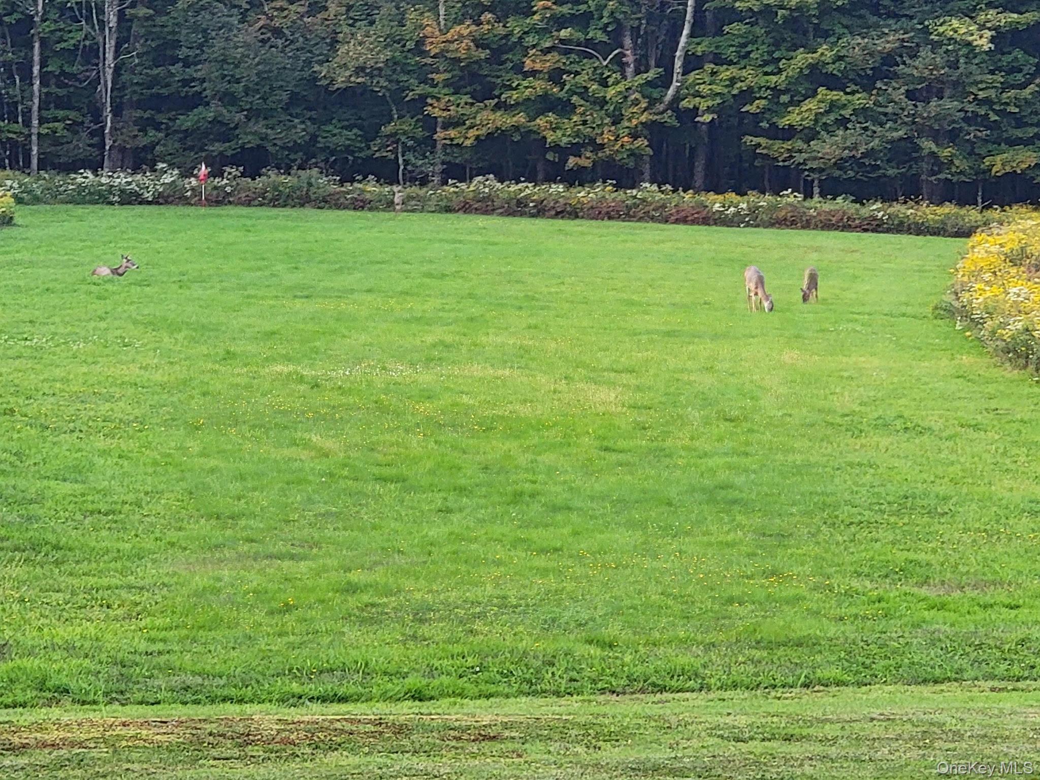 27 Beech Lane, Liberty, NY 12754