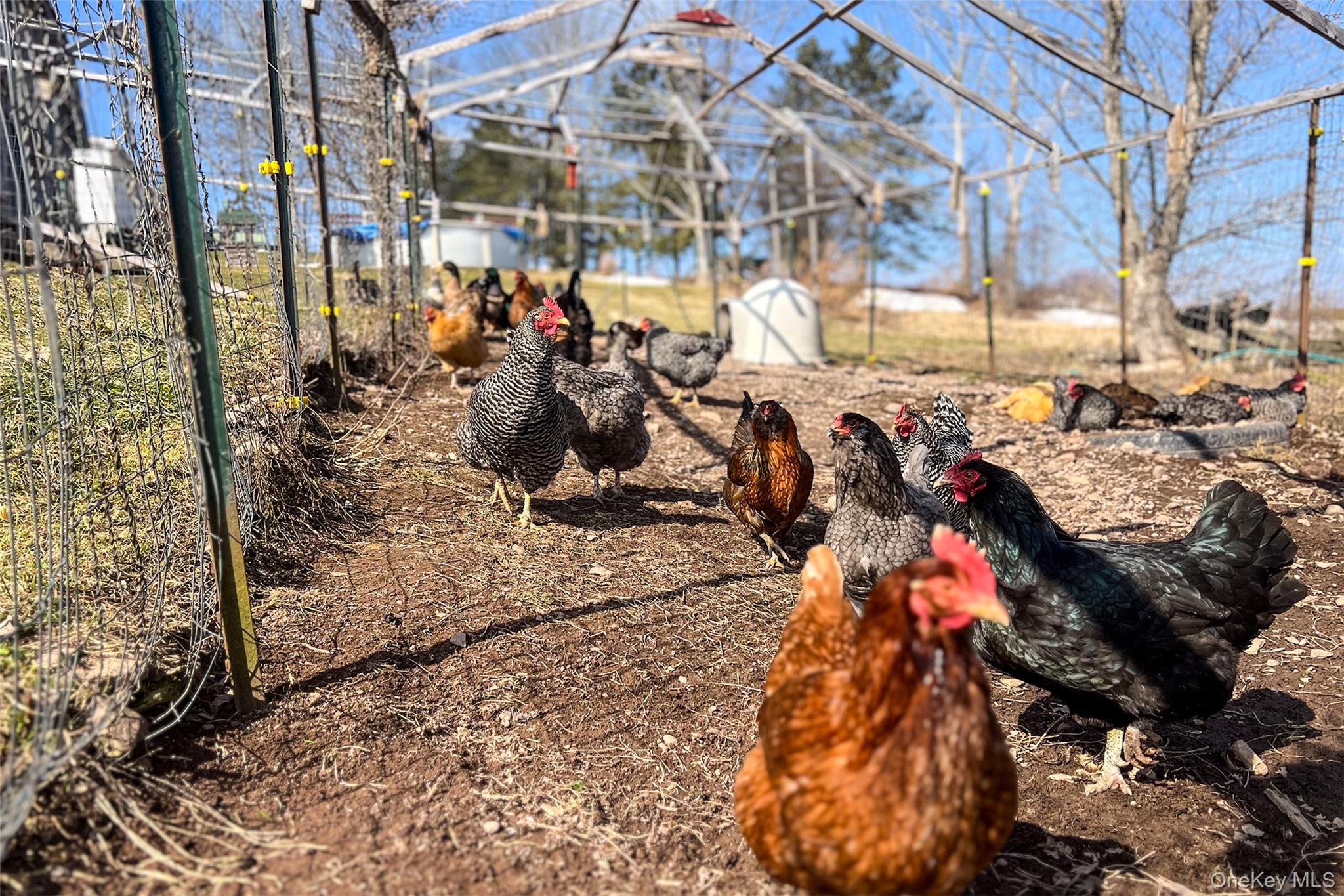 802 County Highway 3a, Call Listing Agent, NY 13849