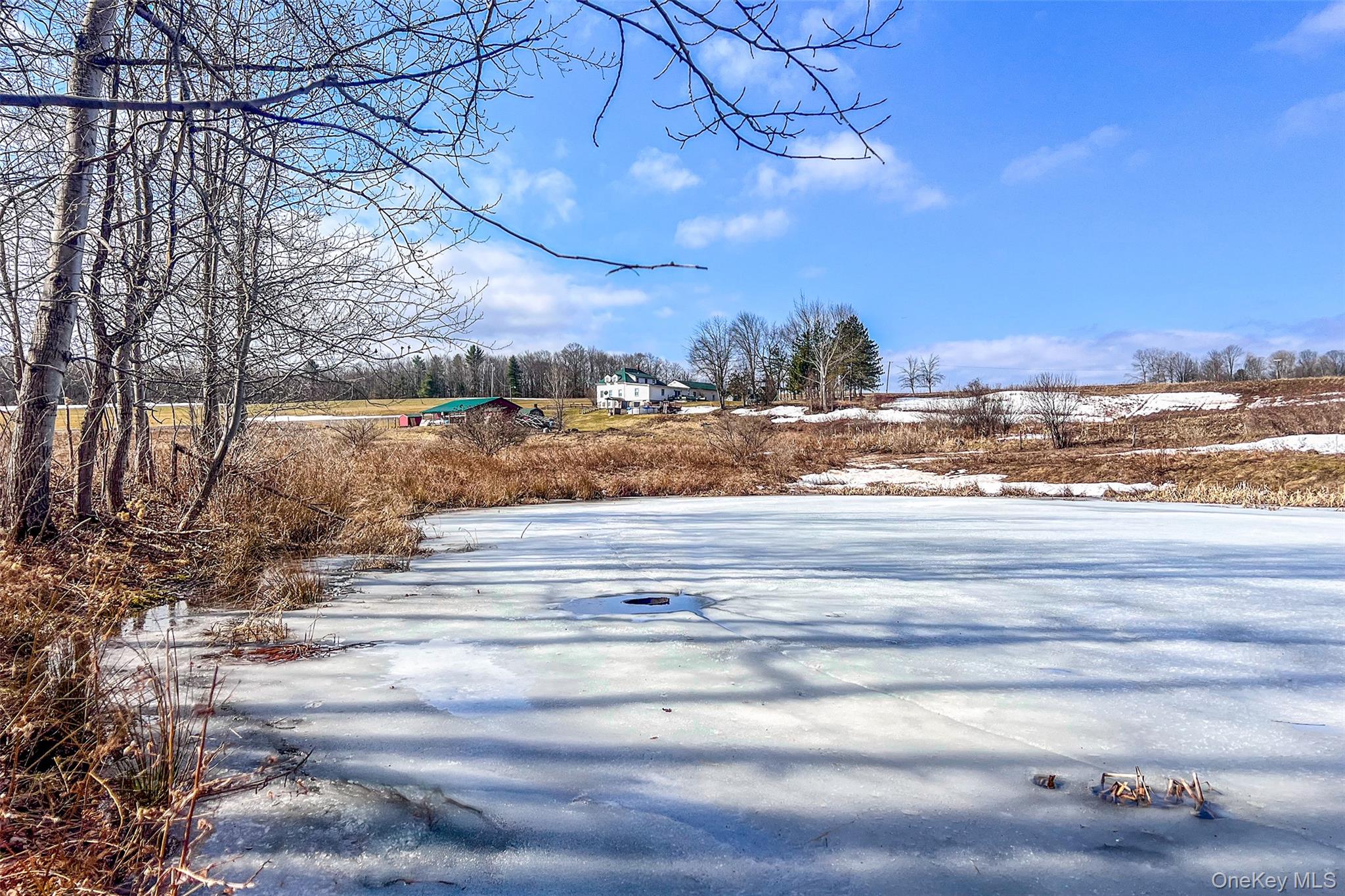 802 County Highway 3a, Call Listing Agent, NY 13849