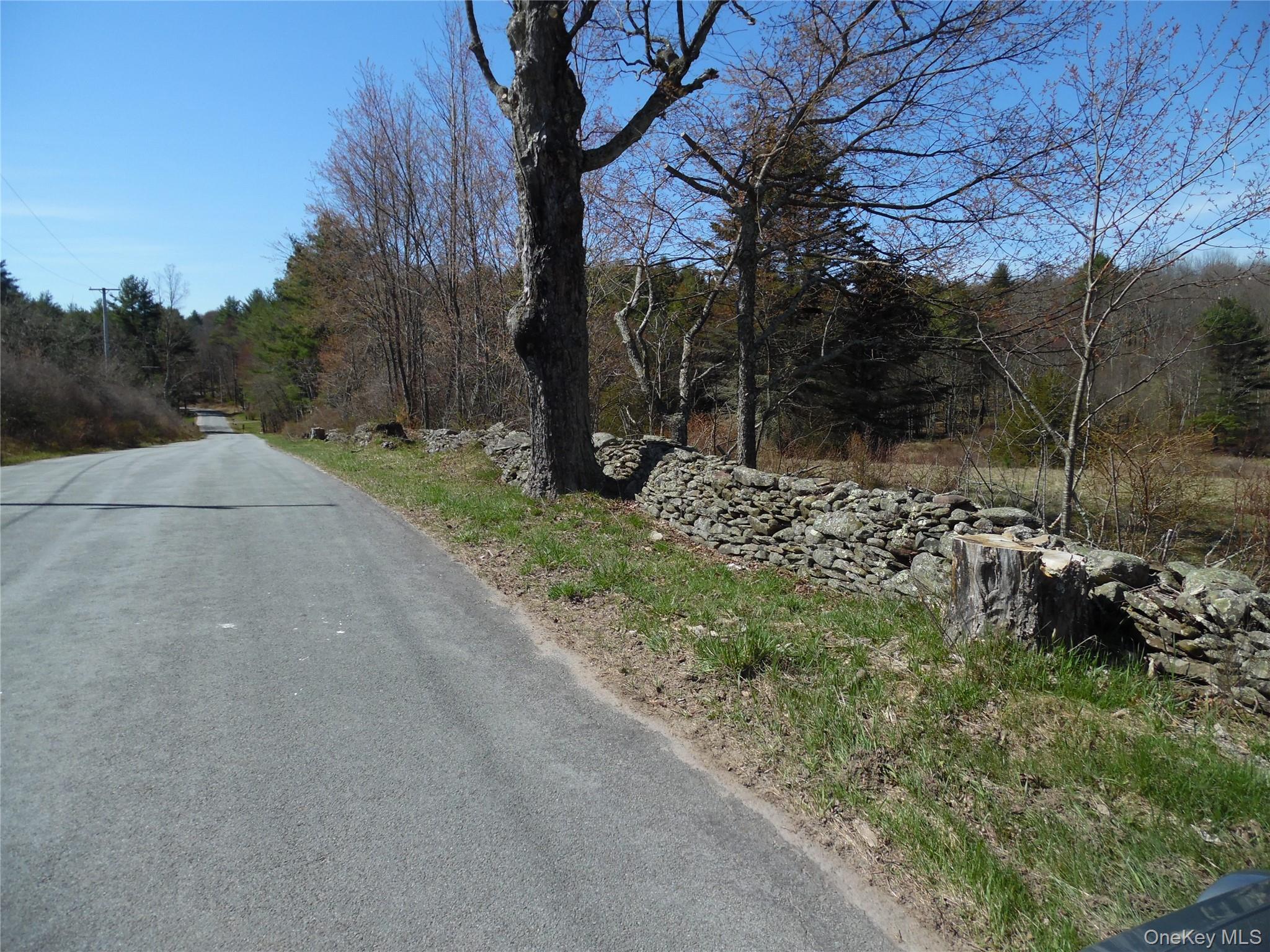 Creamery Road, Bethel, NY 12720