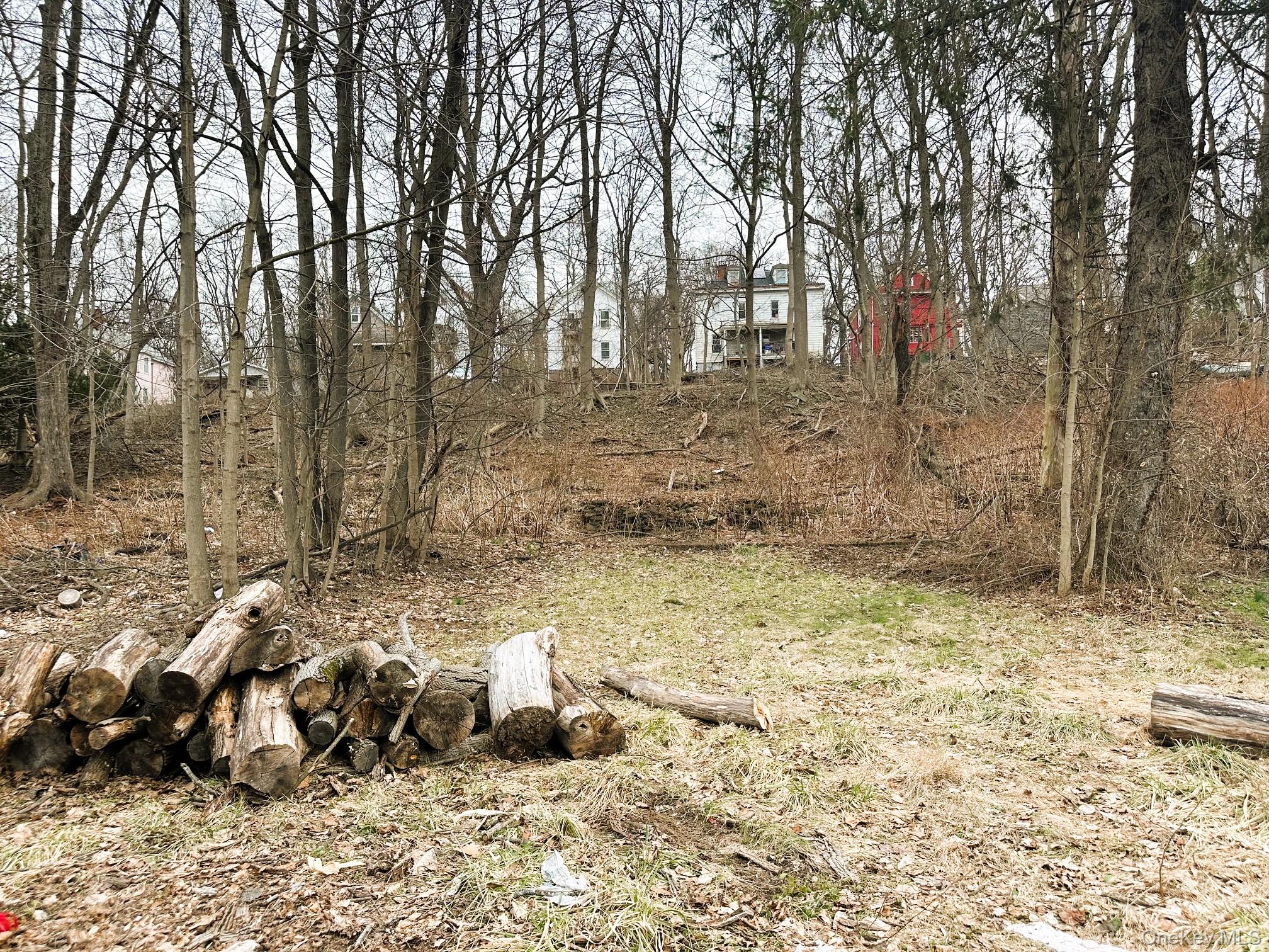 197 Hamilton Street # 2, Poughkeepsie, NY 12601