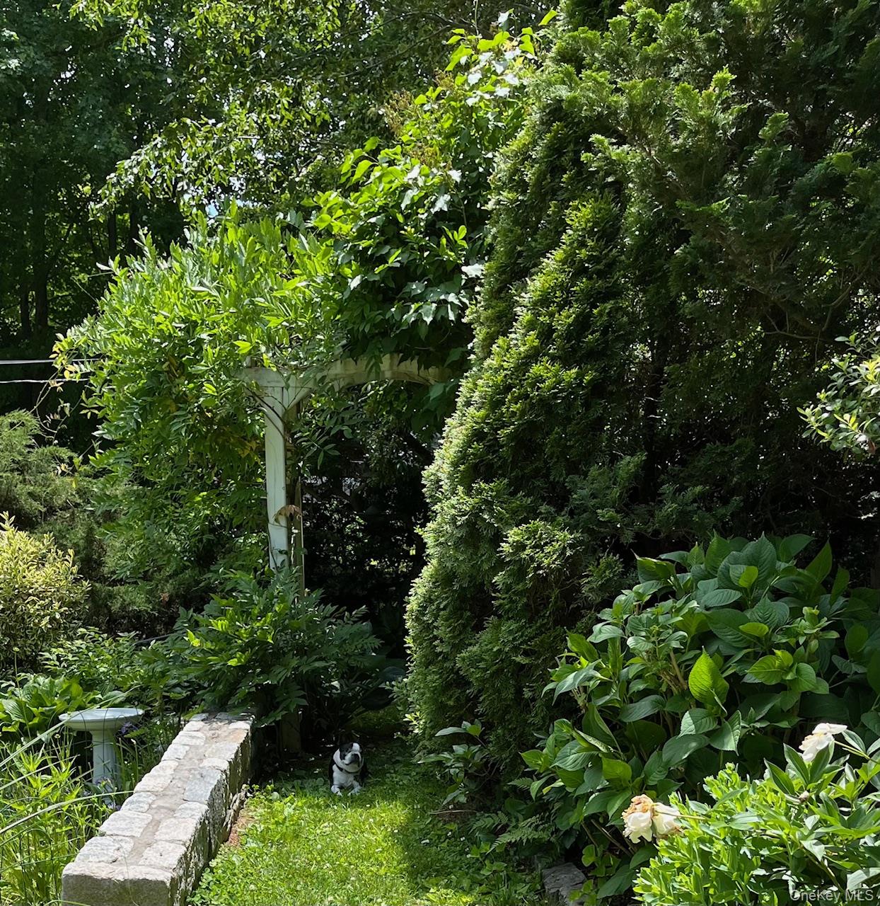 147 Valley Stream Road E, Larchmont, NY 10538