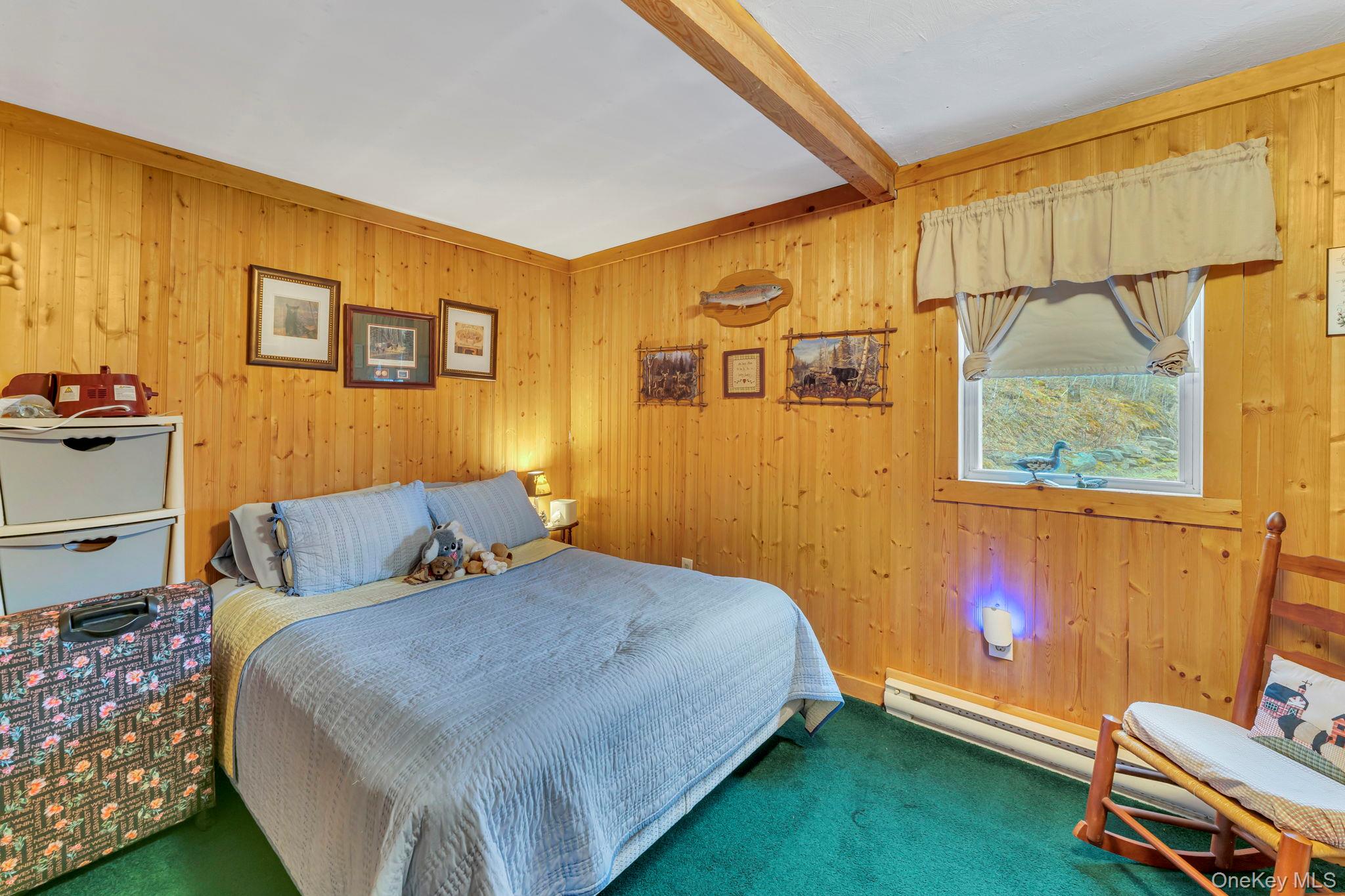 540 Lewis Road, Walton, NY 13856