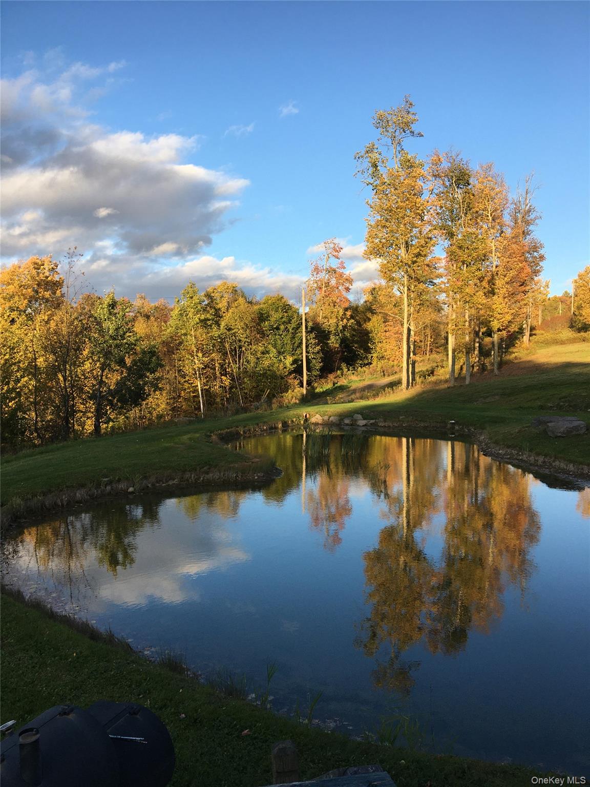 540 Lewis Road, Walton, NY 13856