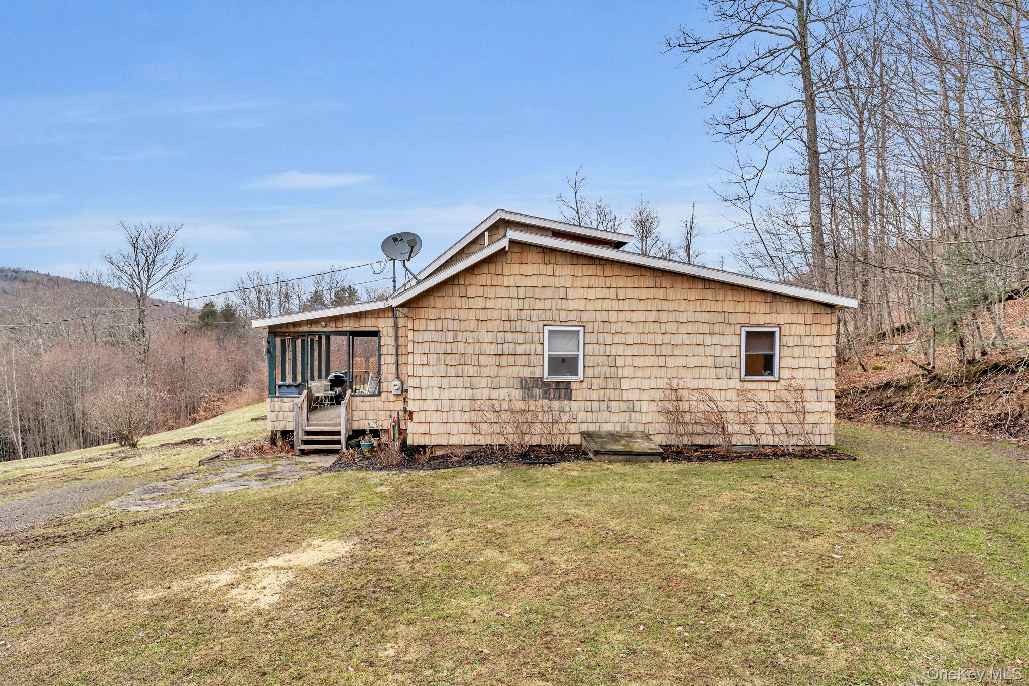 540 Lewis Road, Walton, NY 13856