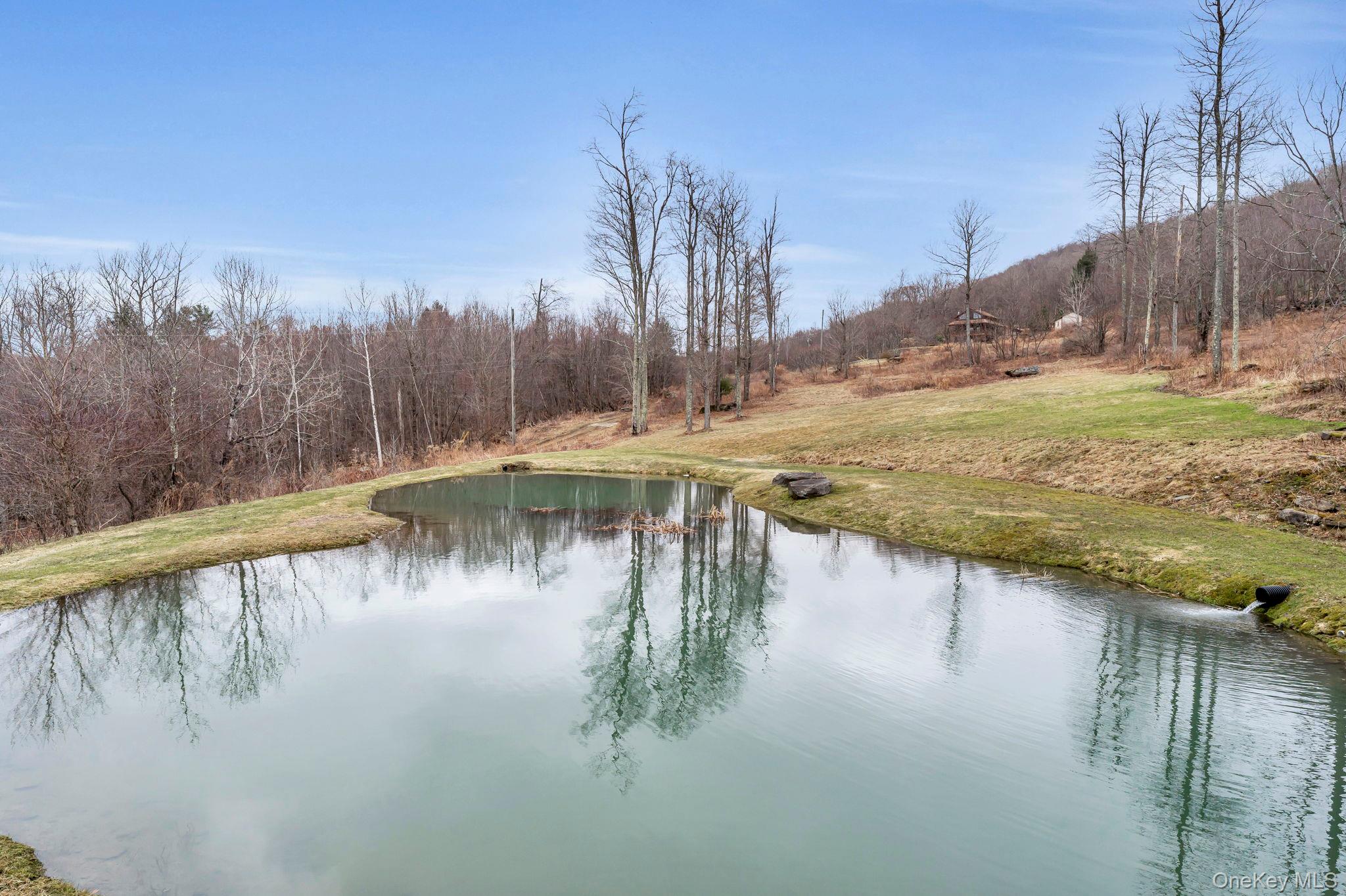 540 Lewis Road, Walton, NY 13856