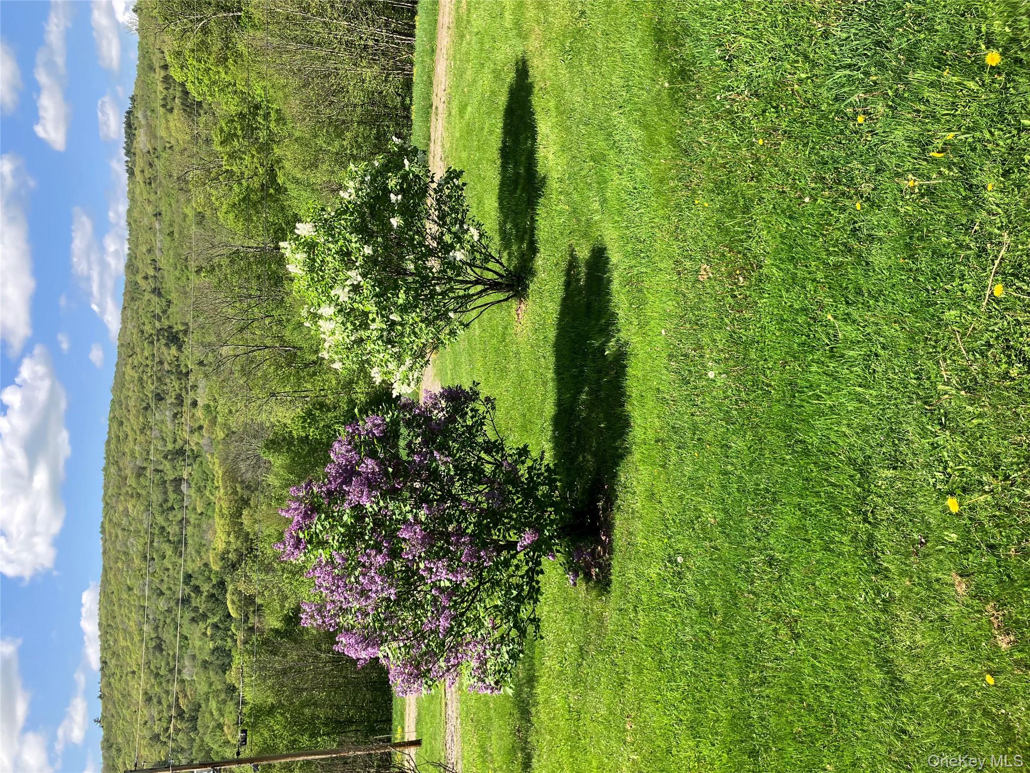 540 Lewis Road, Walton, NY 13856