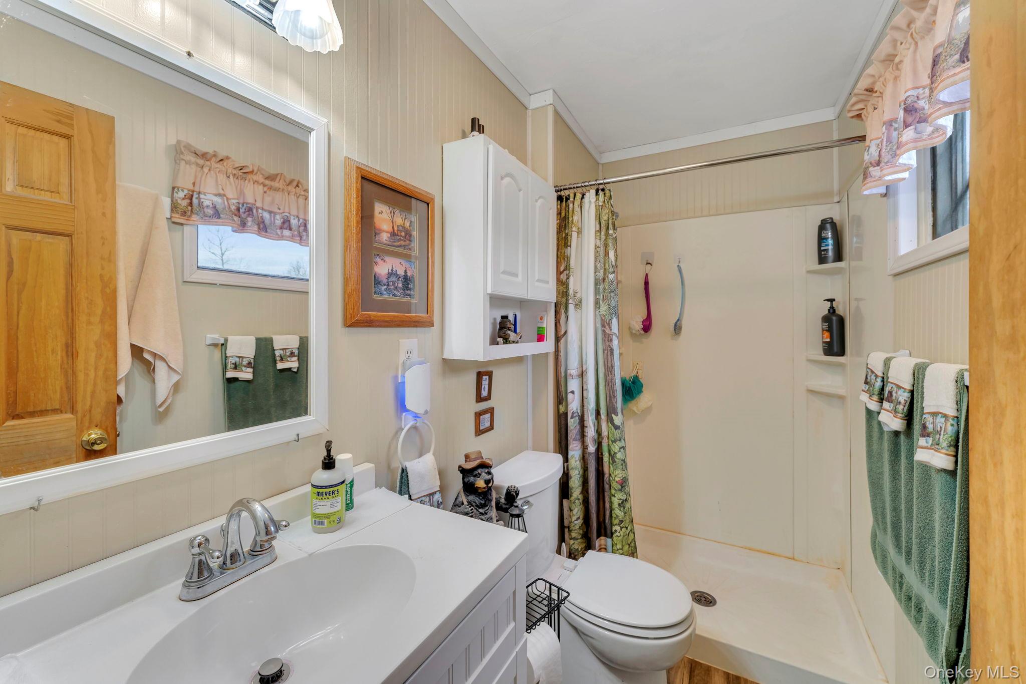 540 Lewis Road, Walton, NY 13856