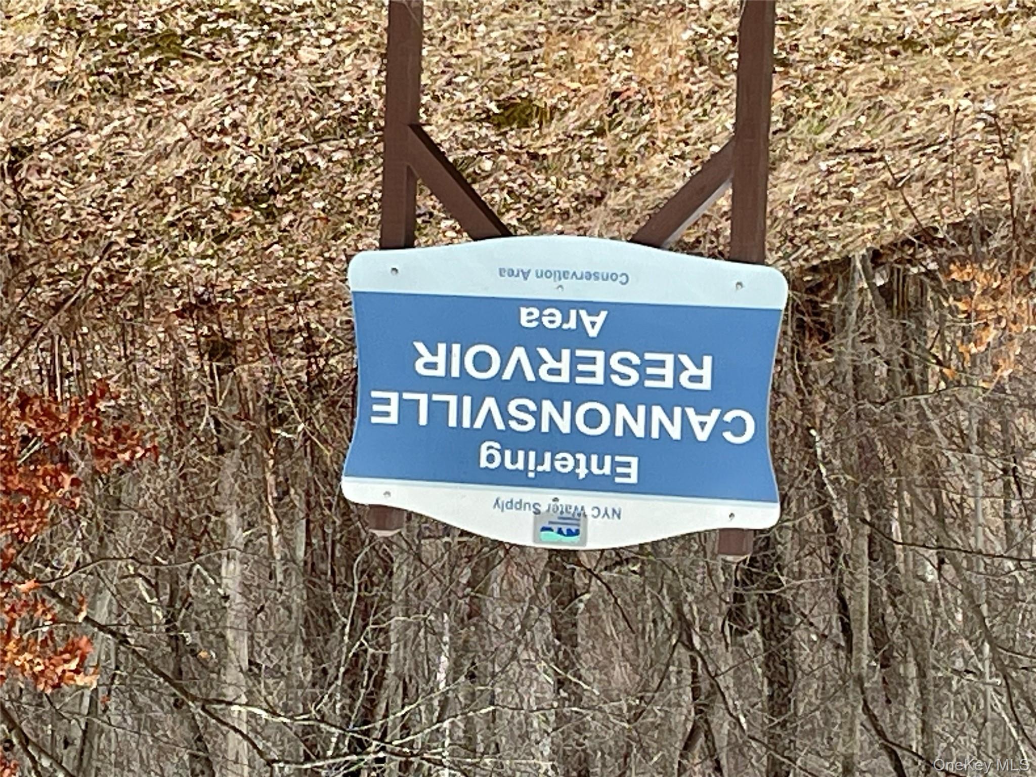 540 Lewis Road, Walton, NY 13856