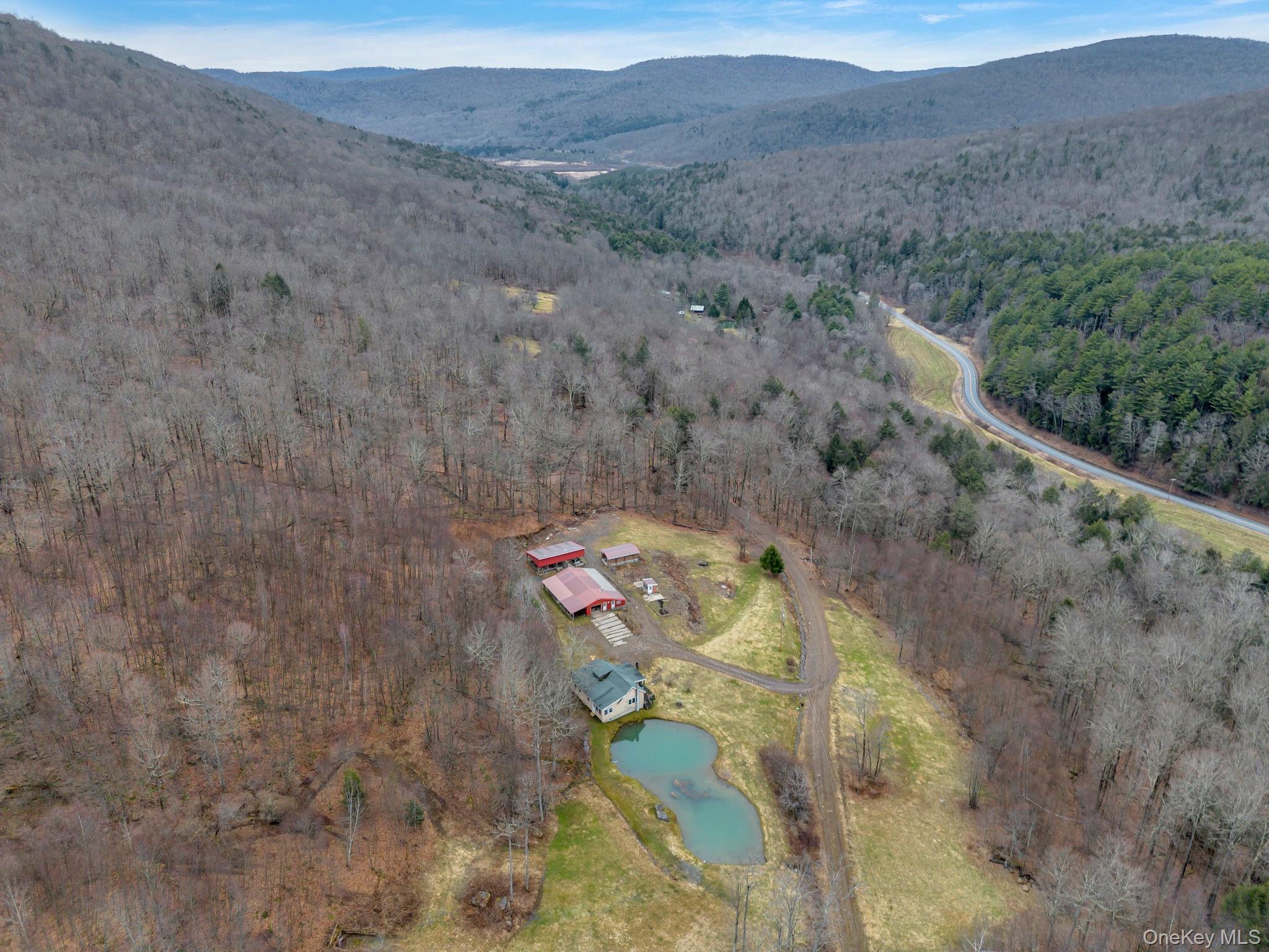 540 Lewis Road, Walton, NY 13856