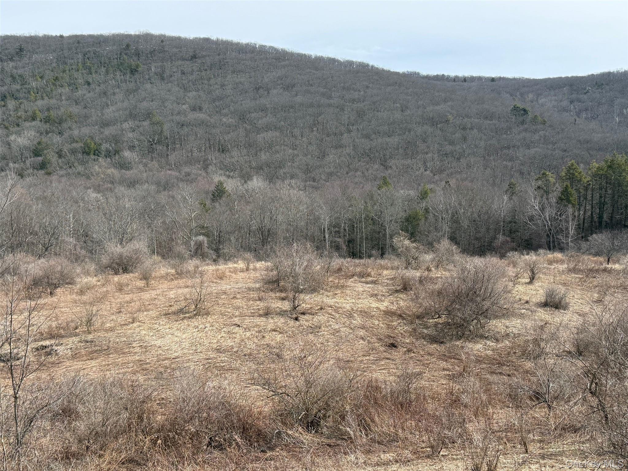 Lot # 3 Mountain Edge Lane, Millerton, NY 12546