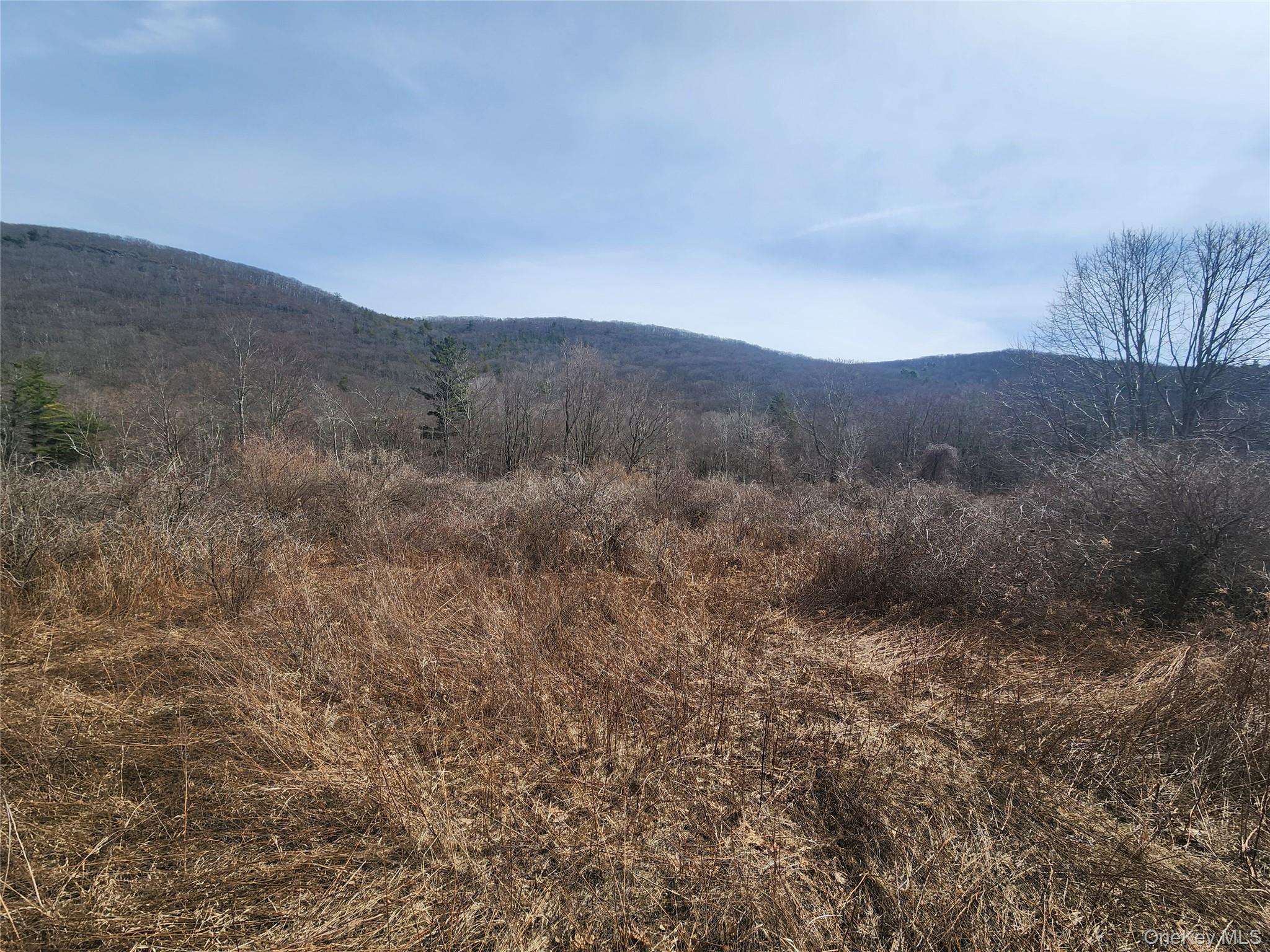 Lot # 3 Mountain Edge Lane, Millerton, NY 12546
