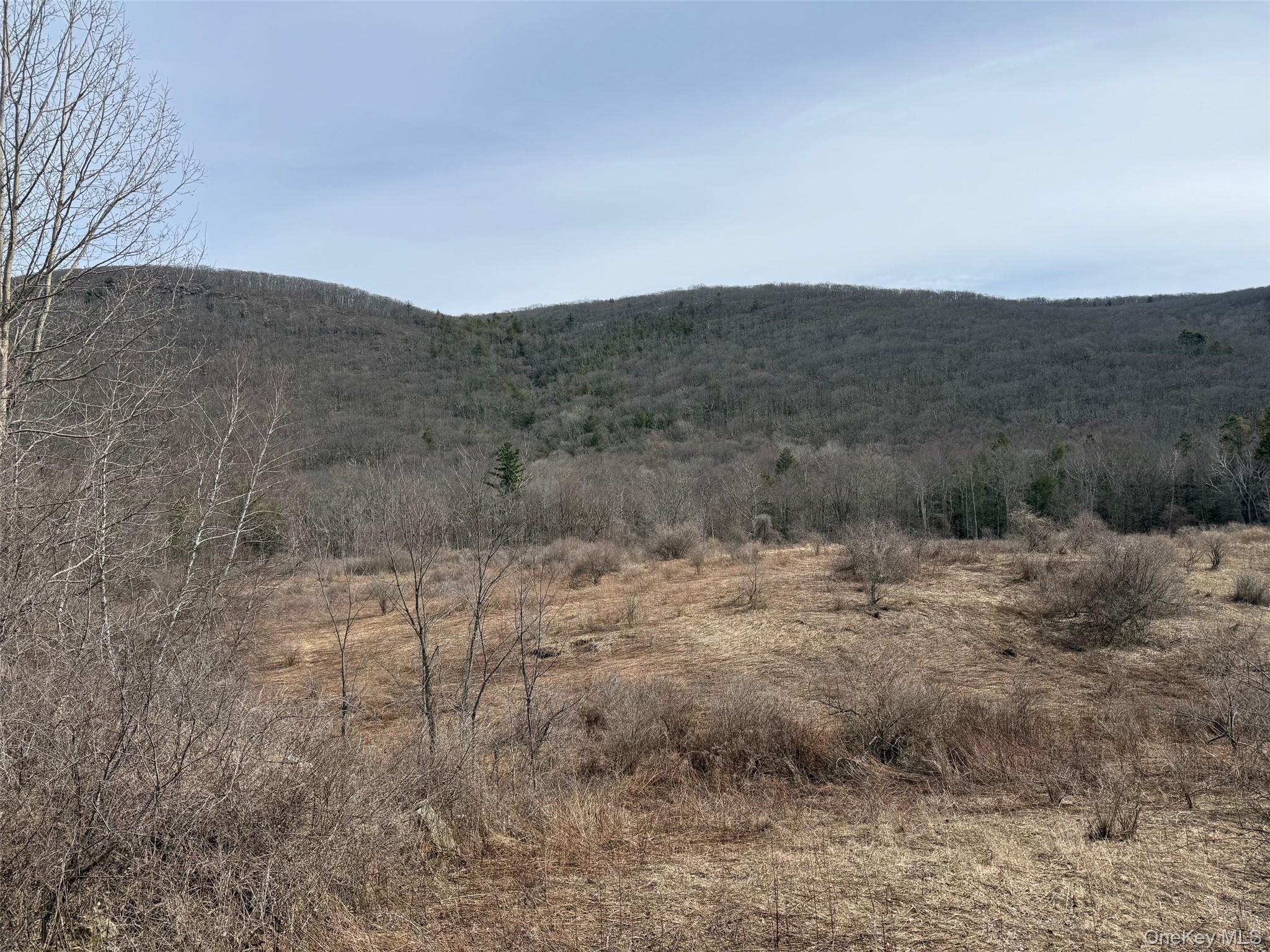 Lot # 3 Mountain Edge Lane, Millerton, NY 12546