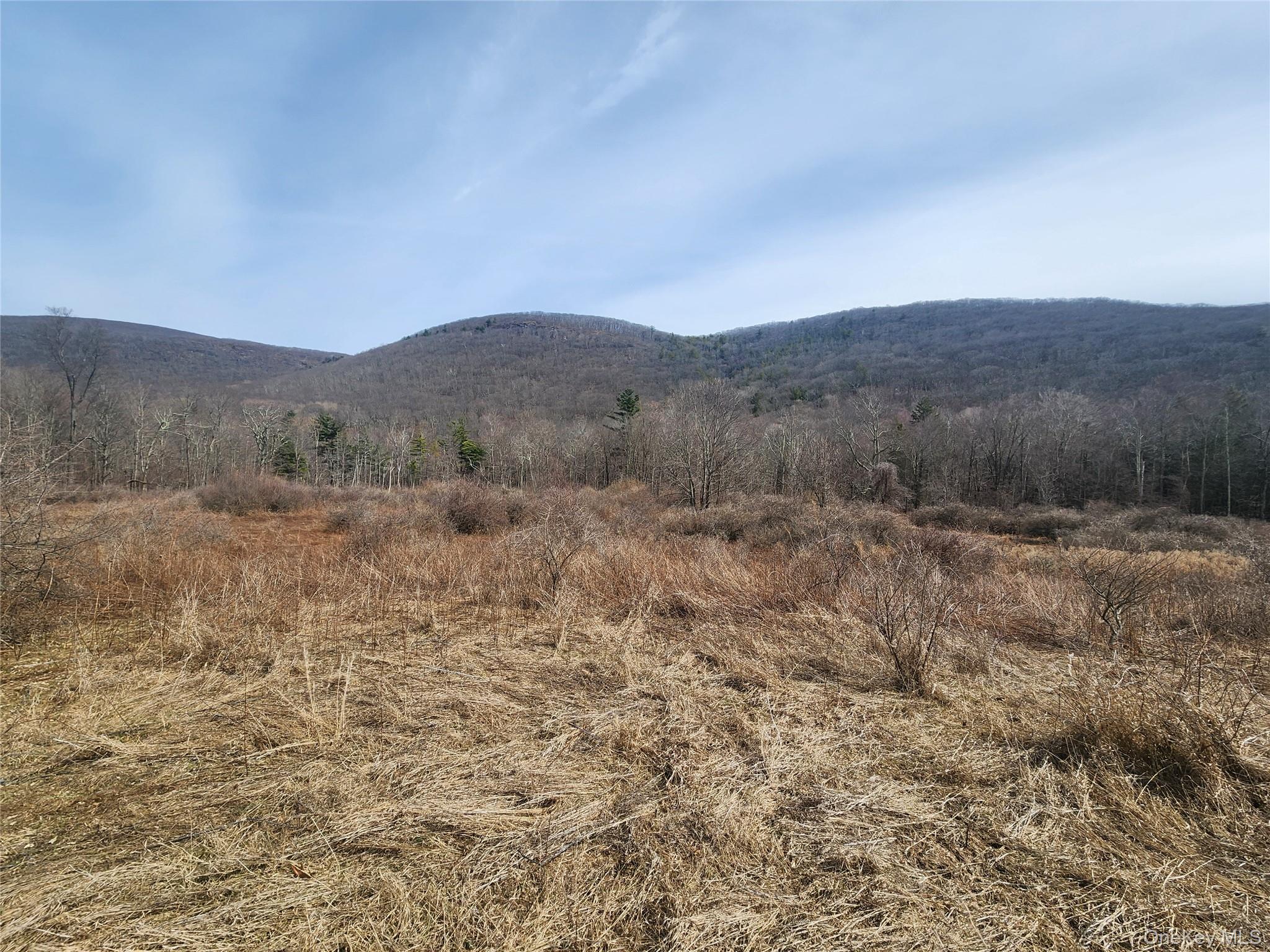 Lot # 3 Mountain Edge Lane, Millerton, NY 12546