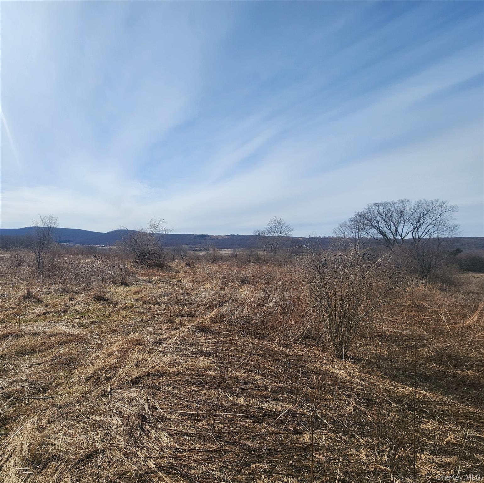 Lot # 3 Mountain Edge Lane, Millerton, NY 12546