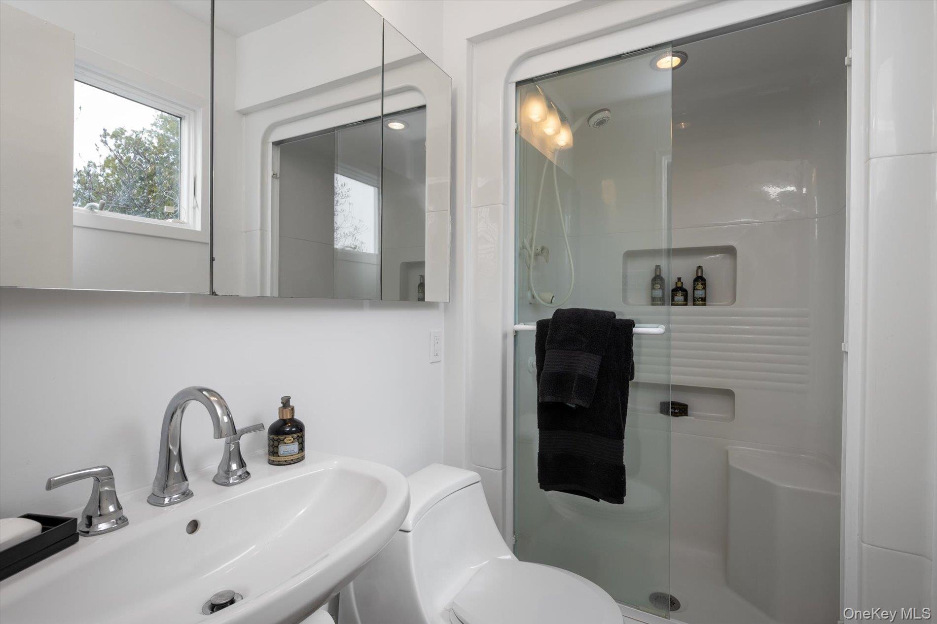 22 Delaware Avenue, Jericho, NY 11753