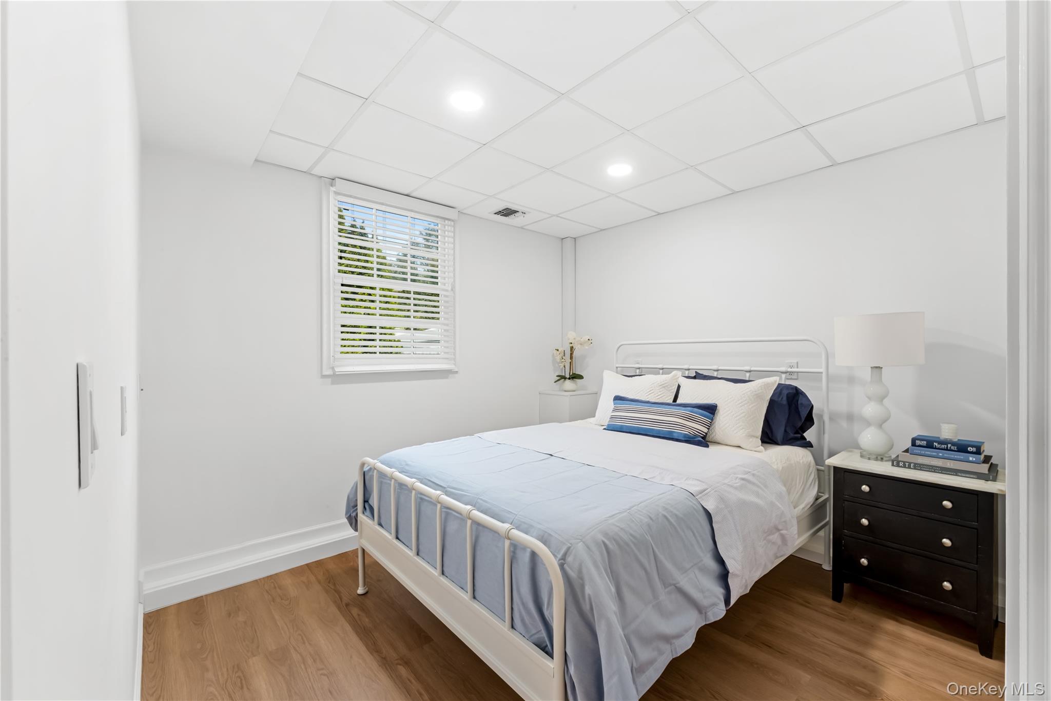 22 Delaware Avenue, Jericho, NY 11753