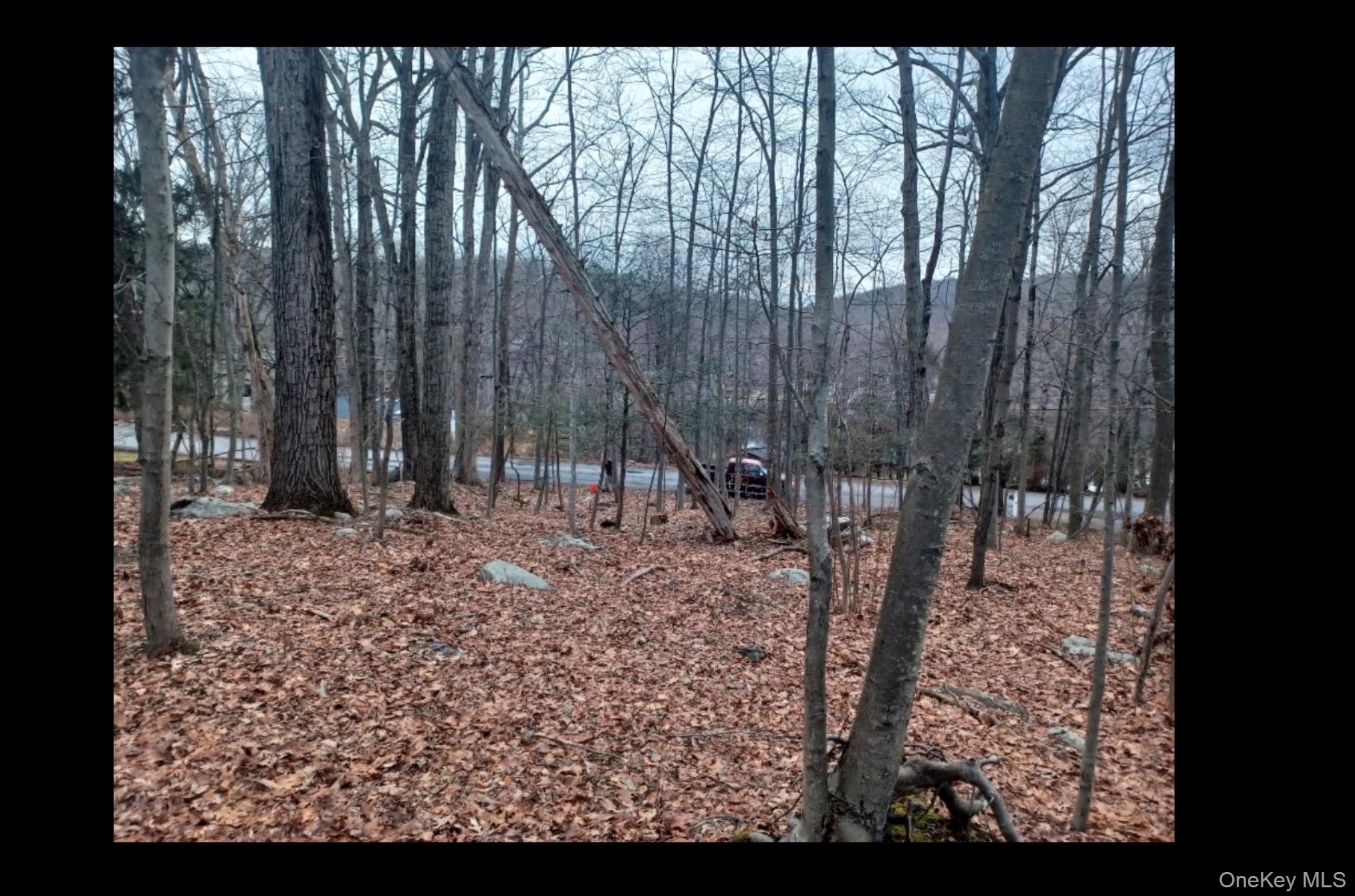 27 Jean Drive, Cortlandt Manor, NY 10567