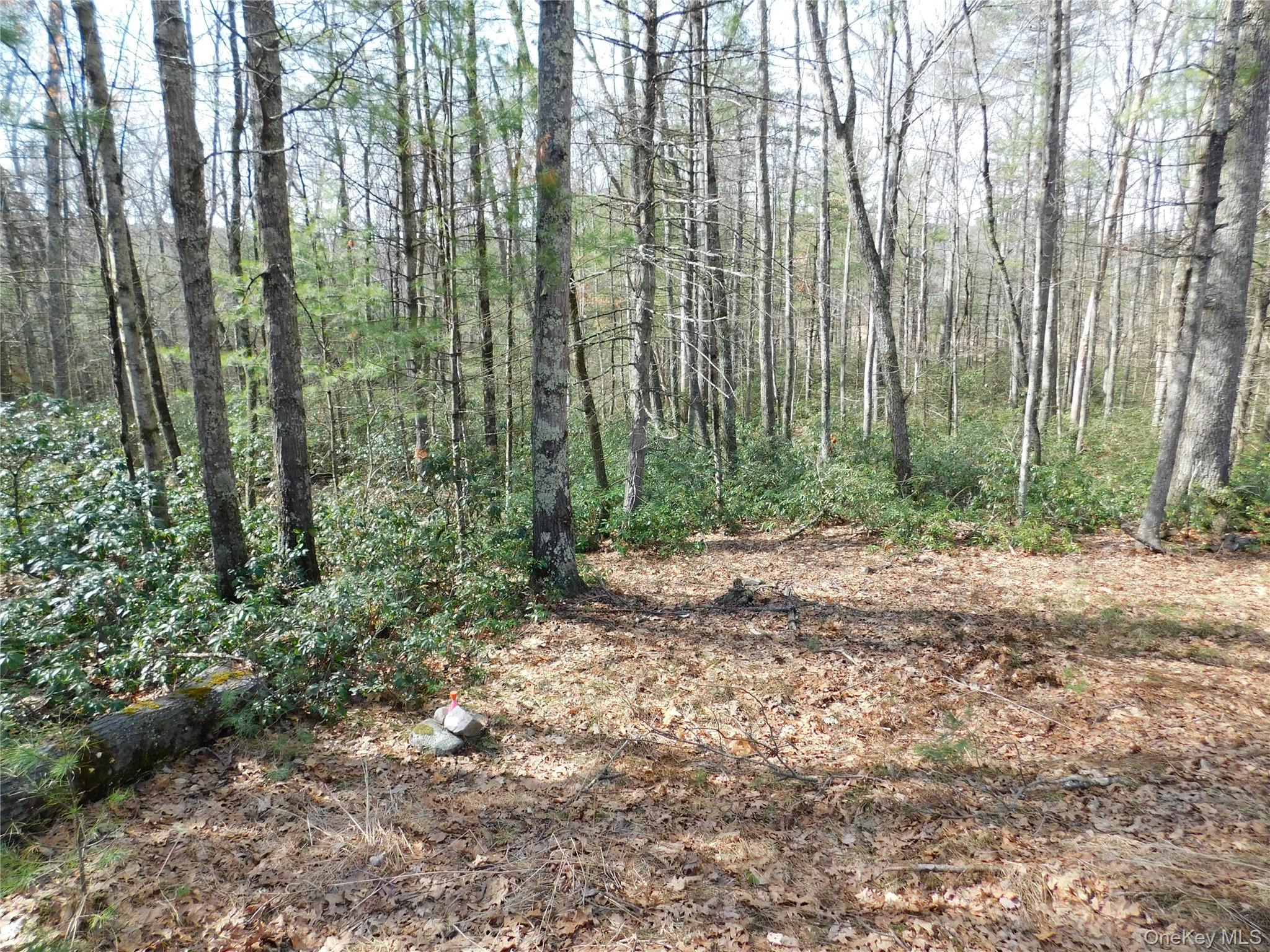 TBD Wright Rd, Kerhonkson, NY 12446