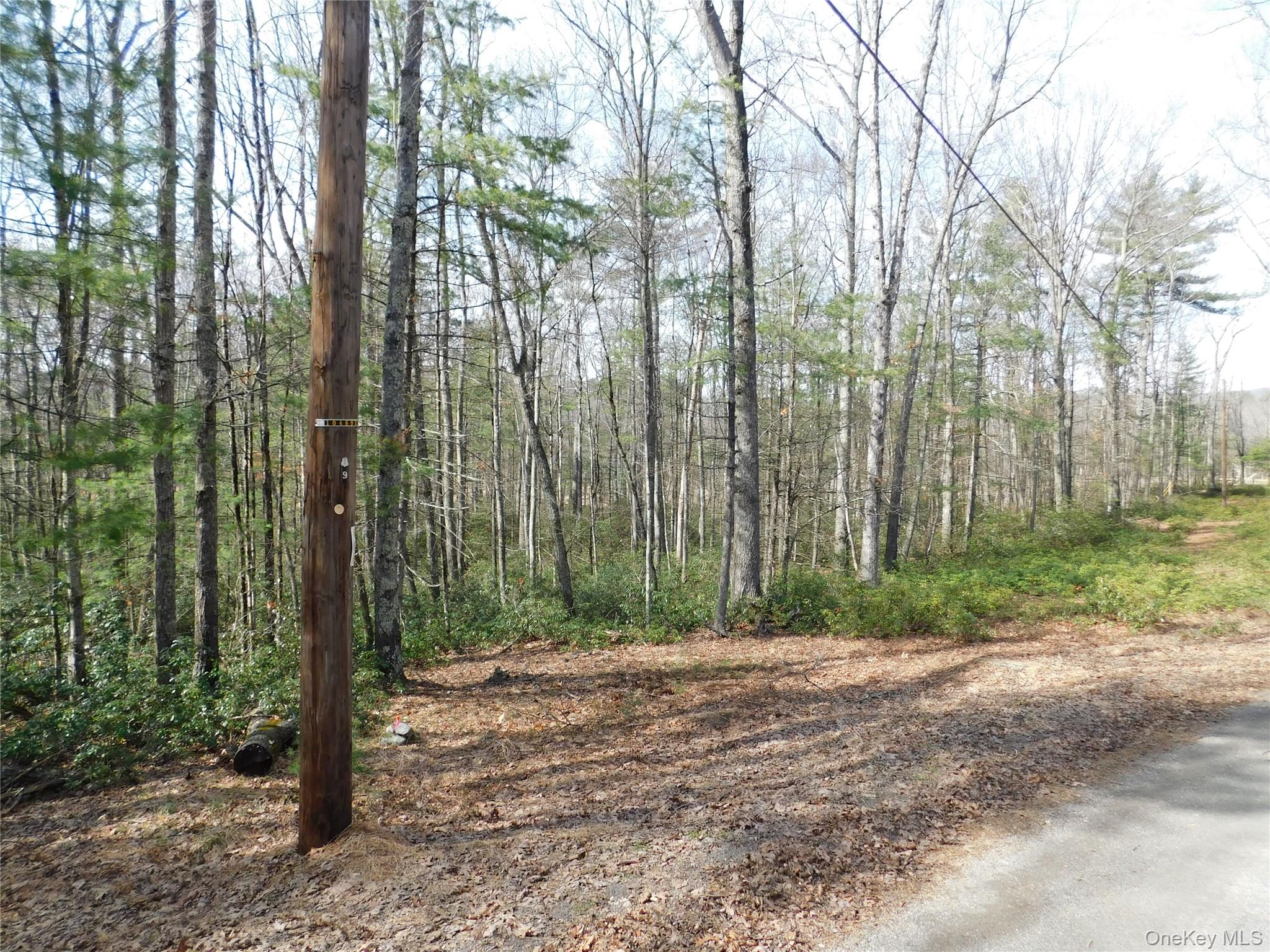 TBD Wright Rd, Kerhonkson, NY 12446