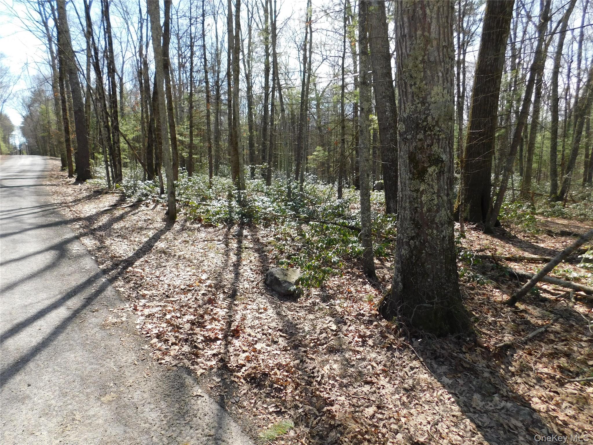 TBD Wright Rd, Kerhonkson, NY 12446