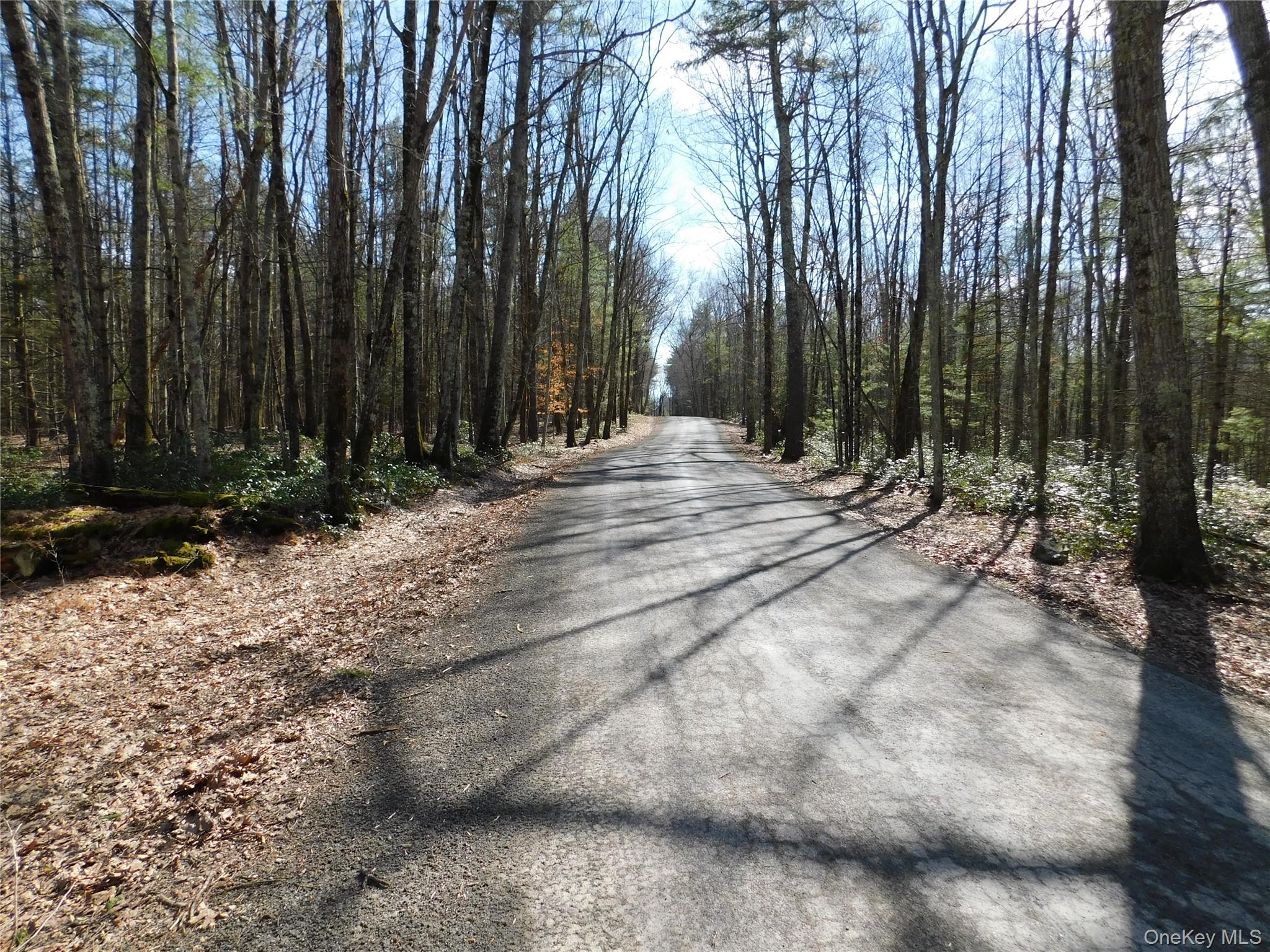 TBD Wright Rd, Kerhonkson, NY 12446