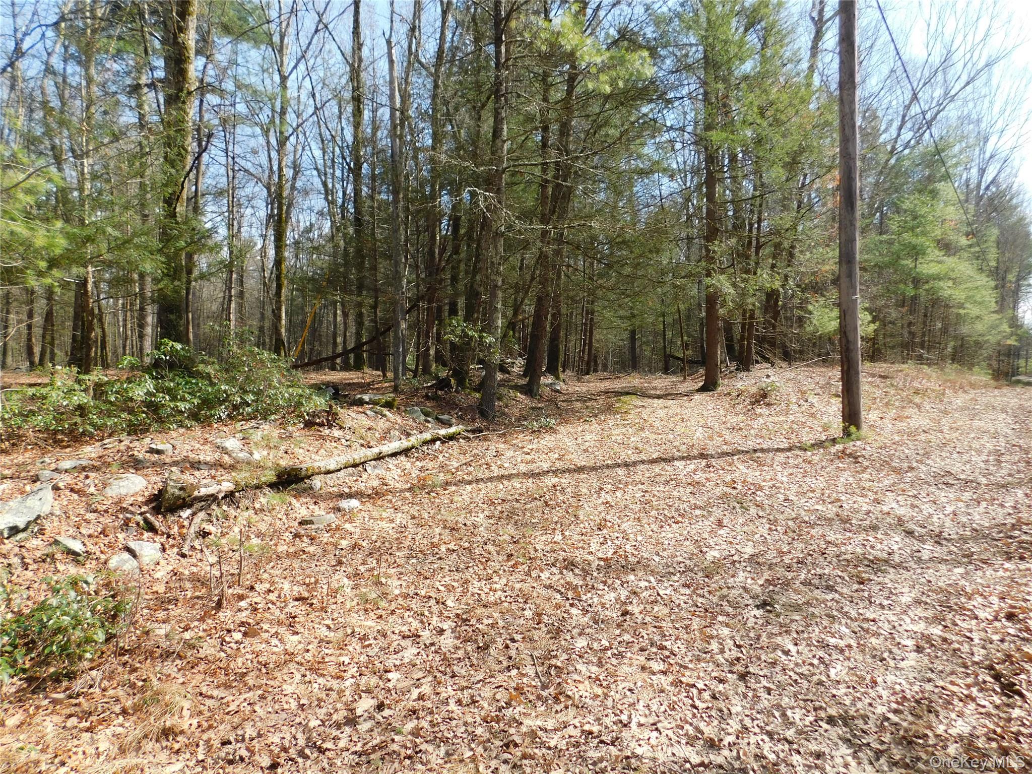 TBD Wright Rd, Kerhonkson, NY 12446