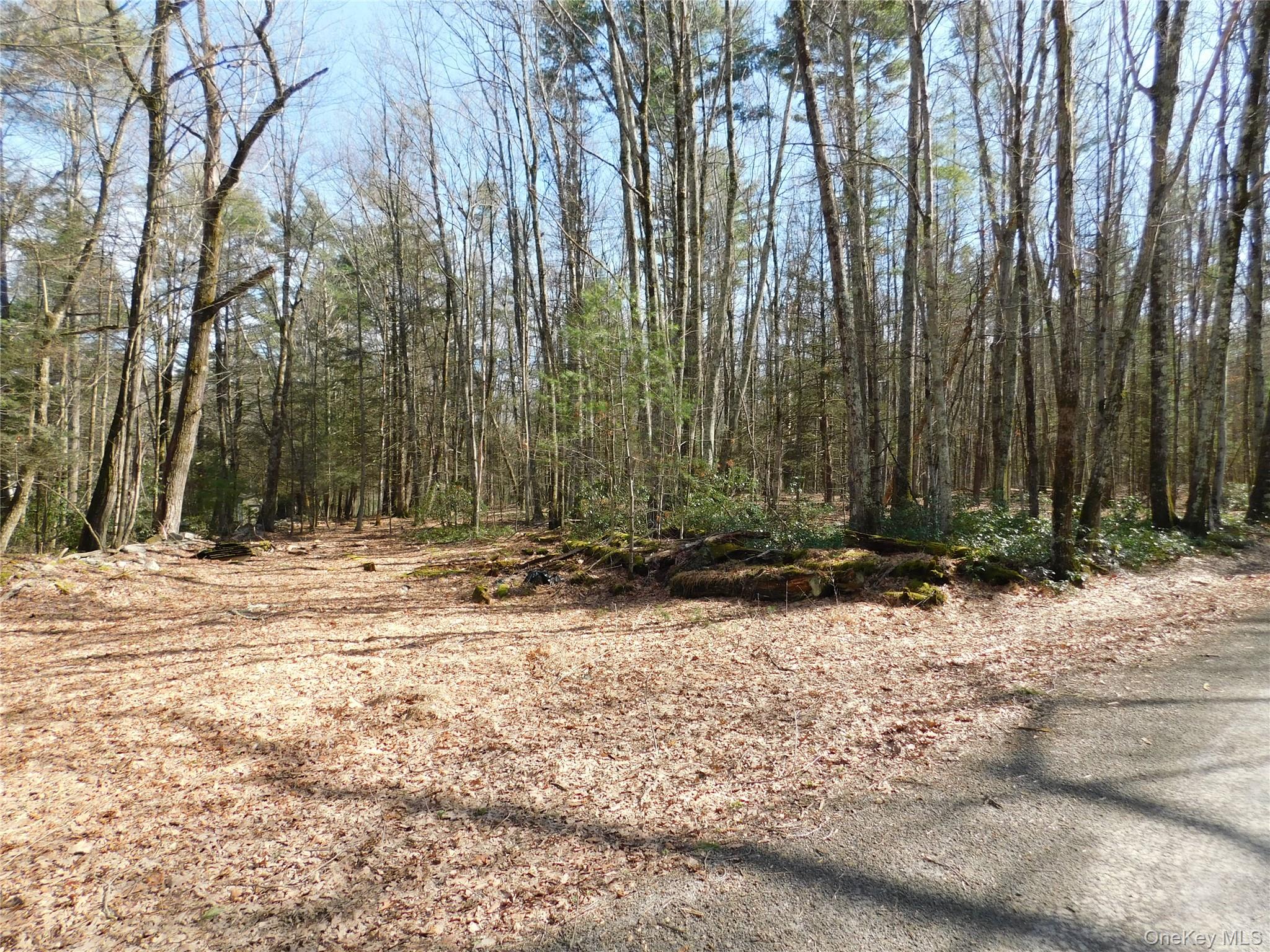 TBD Wright Rd, Kerhonkson, NY 12446