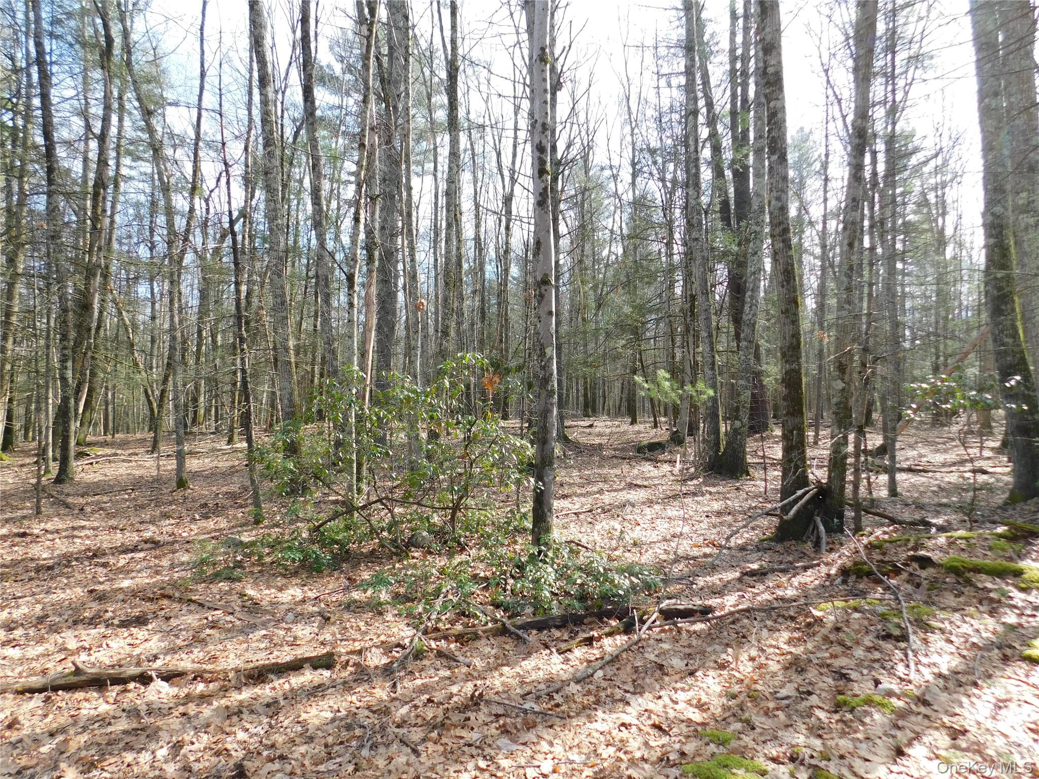 TBD Wright Rd, Kerhonkson, NY 12446