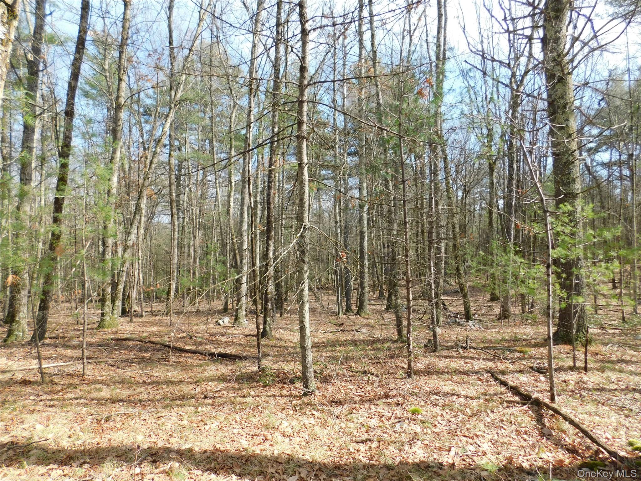 TBD Wright Rd, Kerhonkson, NY 12446