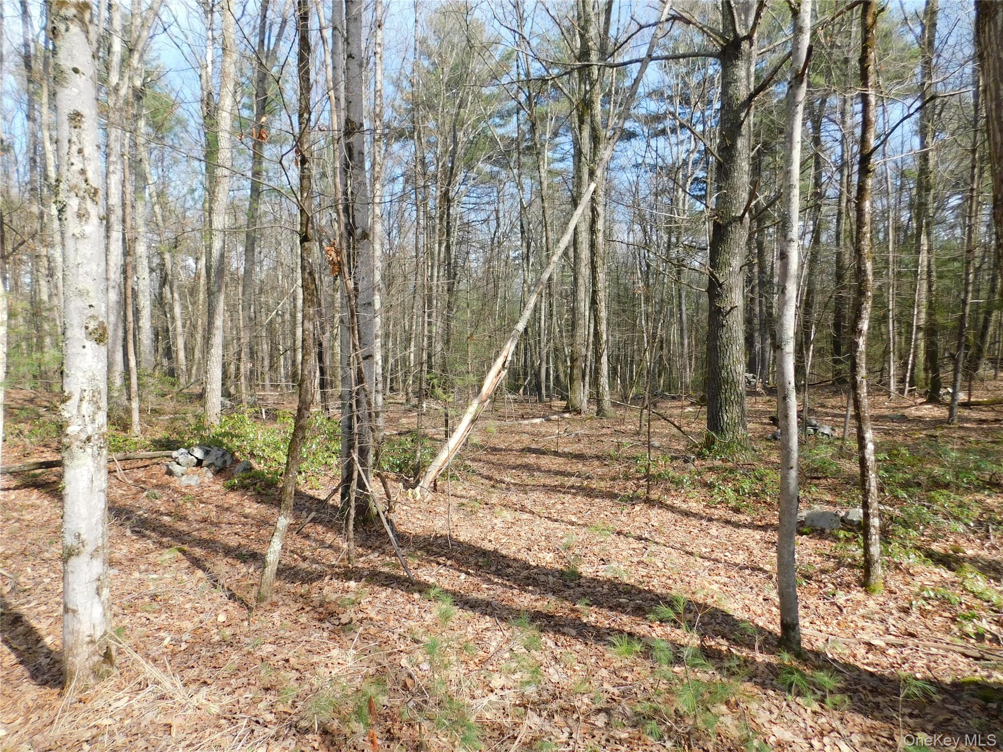 TBD Wright Rd, Kerhonkson, NY 12446