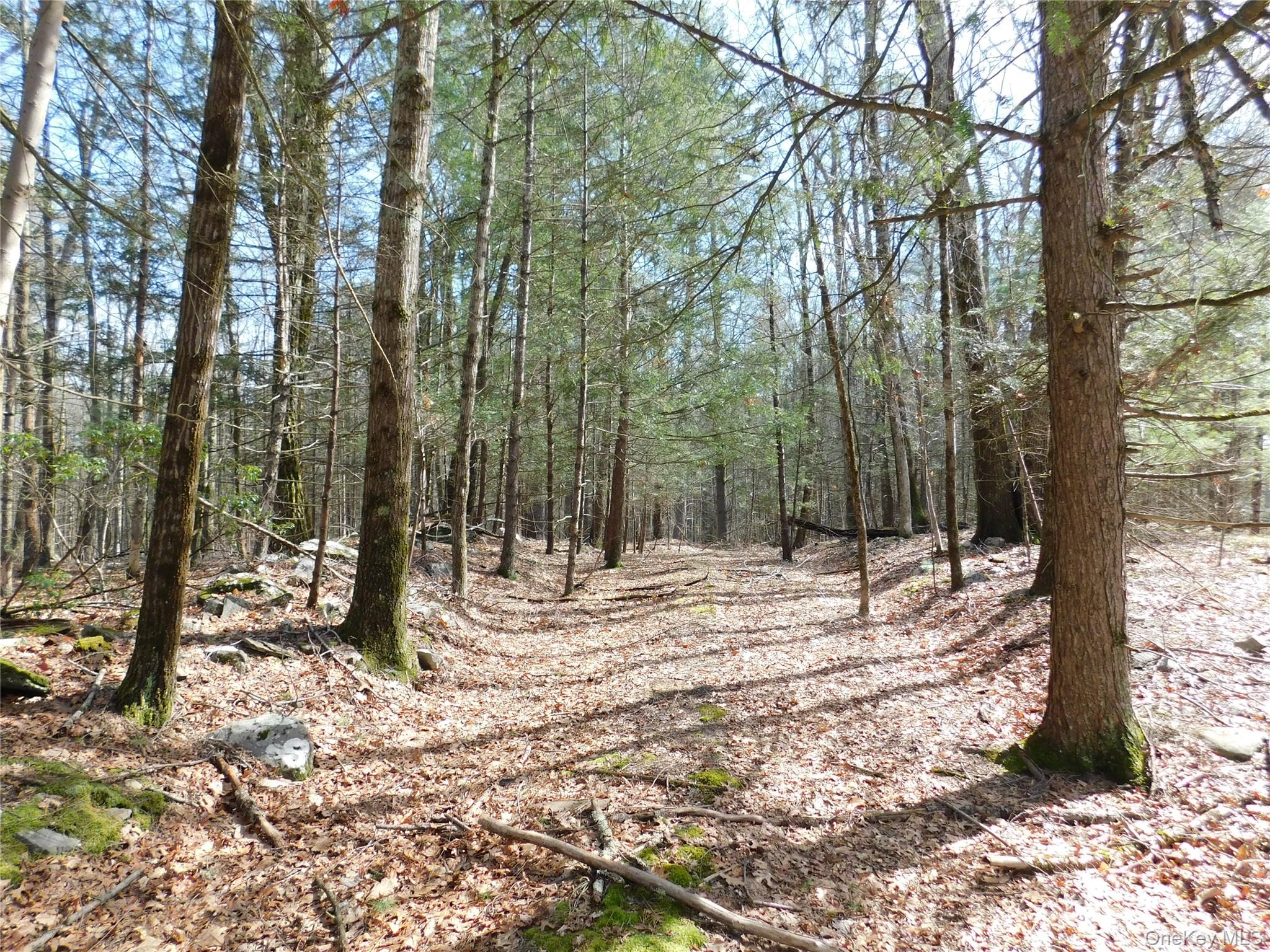 TBD Wright Rd, Kerhonkson, NY 12446