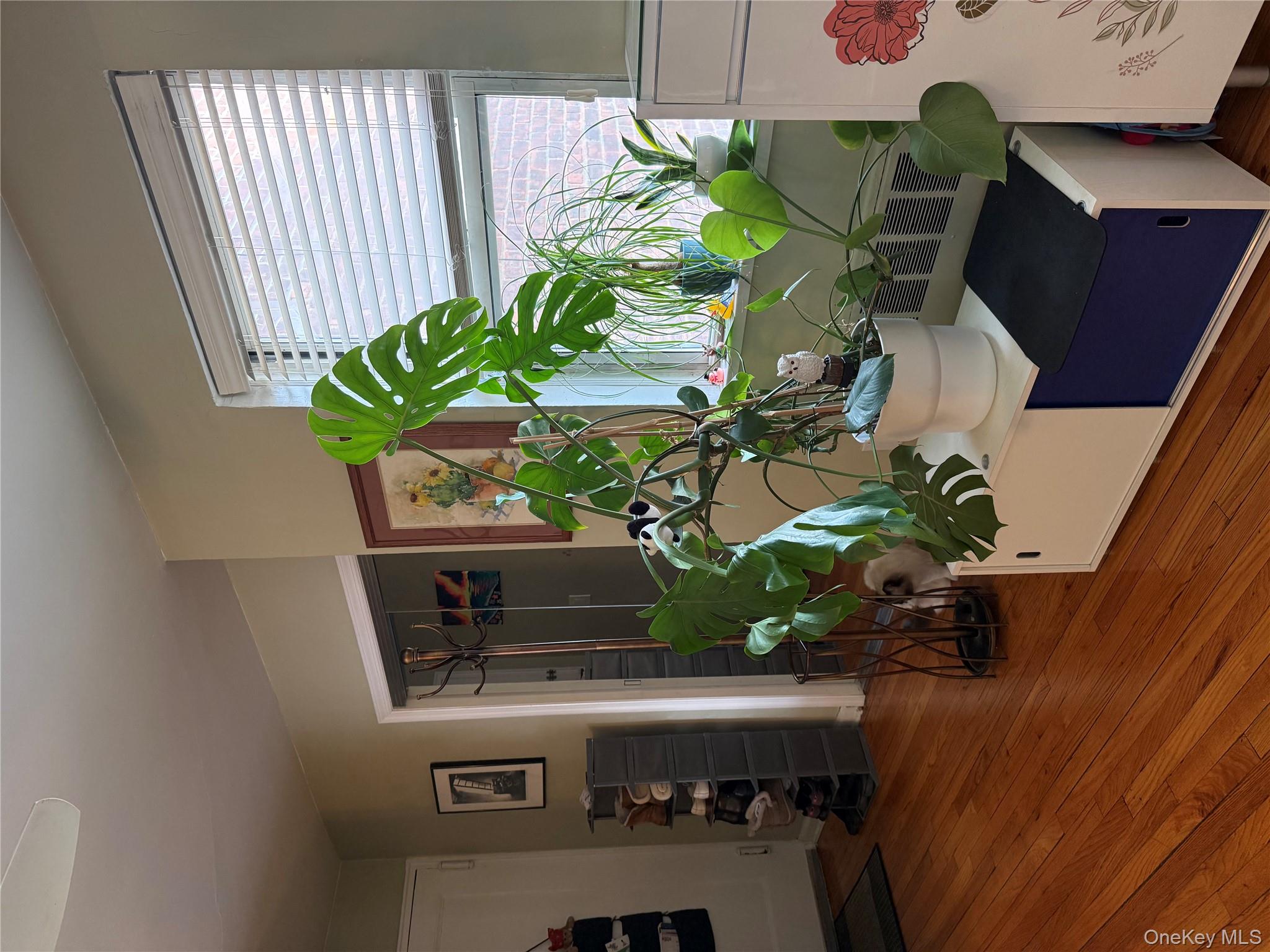 69-11 138th Street # 3B, Flushing, NY 11367