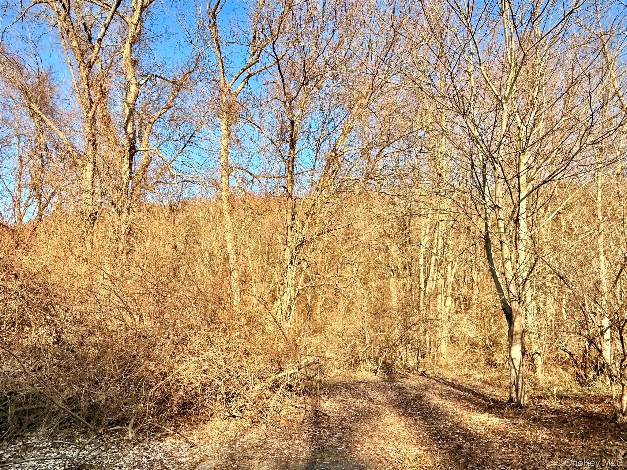 Route 22, Wingdale, NY 12594