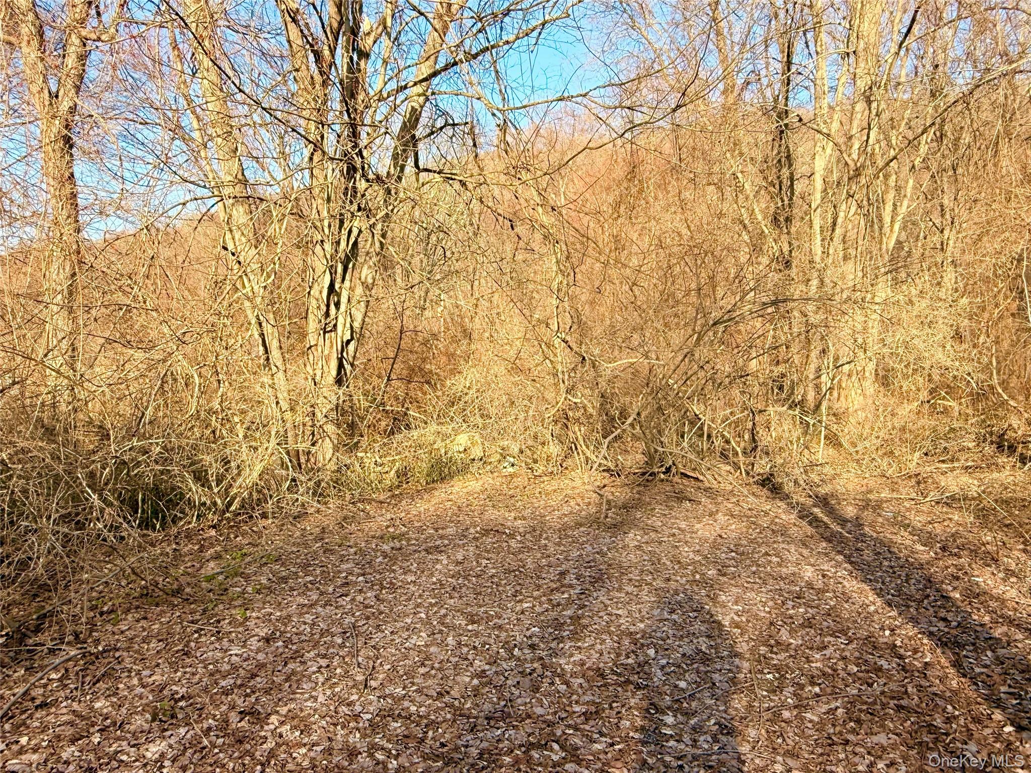 Route 22, Wingdale, NY 12594