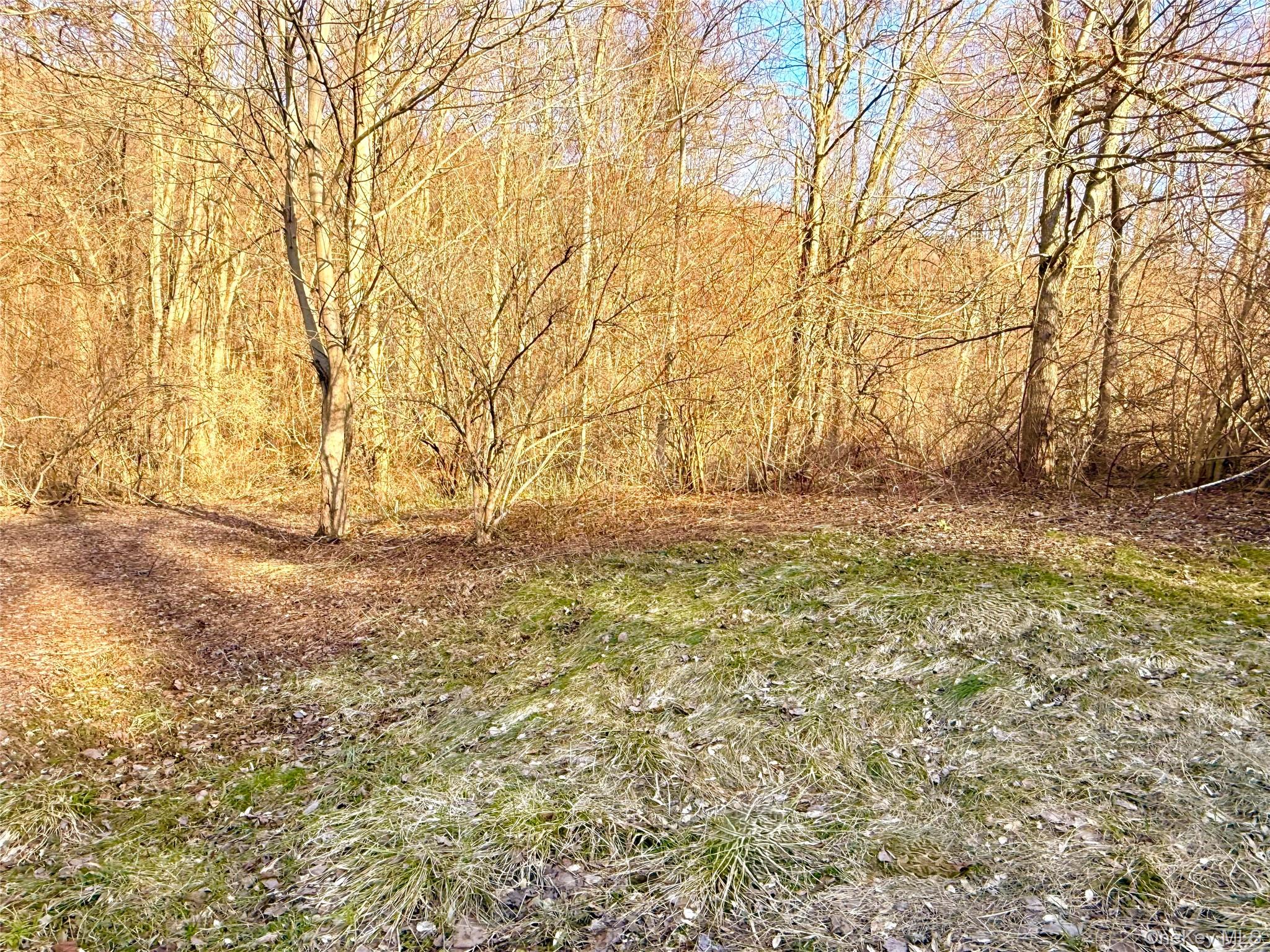 Route 22, Wingdale, NY 12594