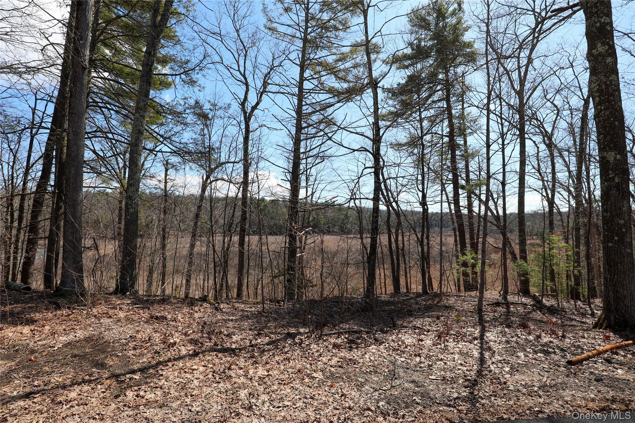 176 Lake Road, Lake Katrine, NY 12449