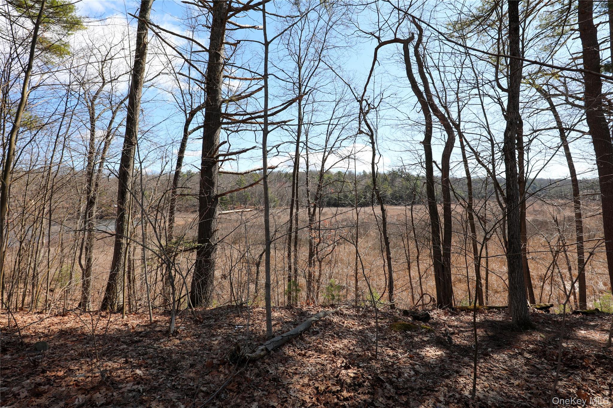 176 Lake Road, Lake Katrine, NY 12449